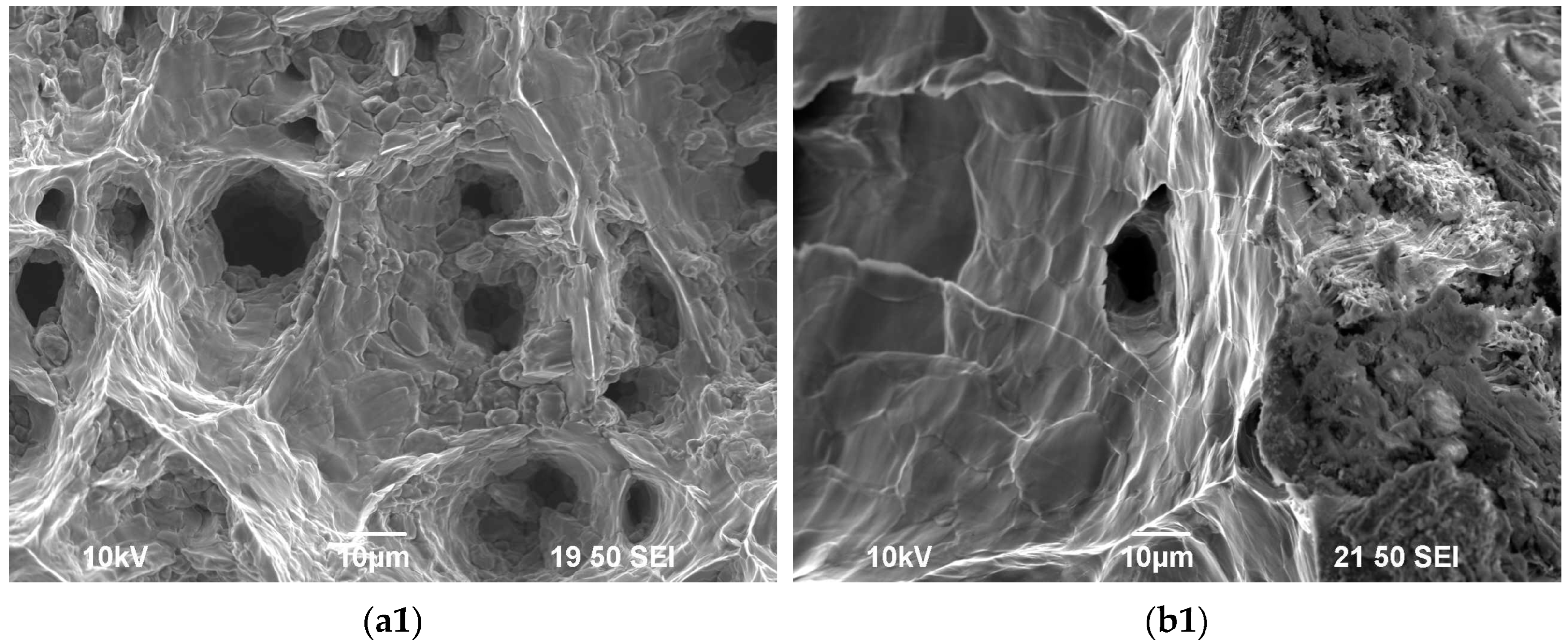 Metals 13 00133 g0a4a Metals 13 00133 g0a4a