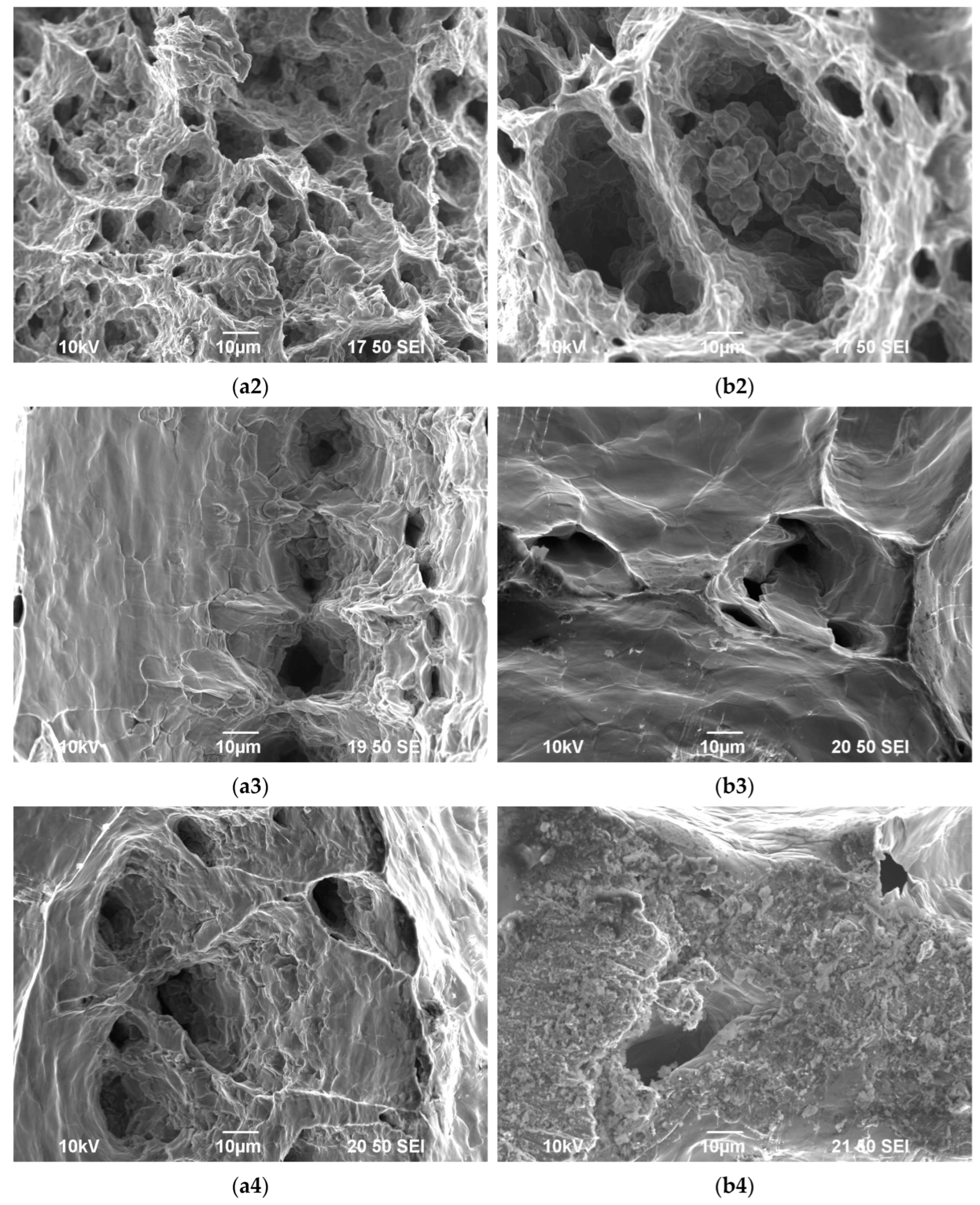 Metals 13 00133 g0a4b Metals 13 00133 g0a4b