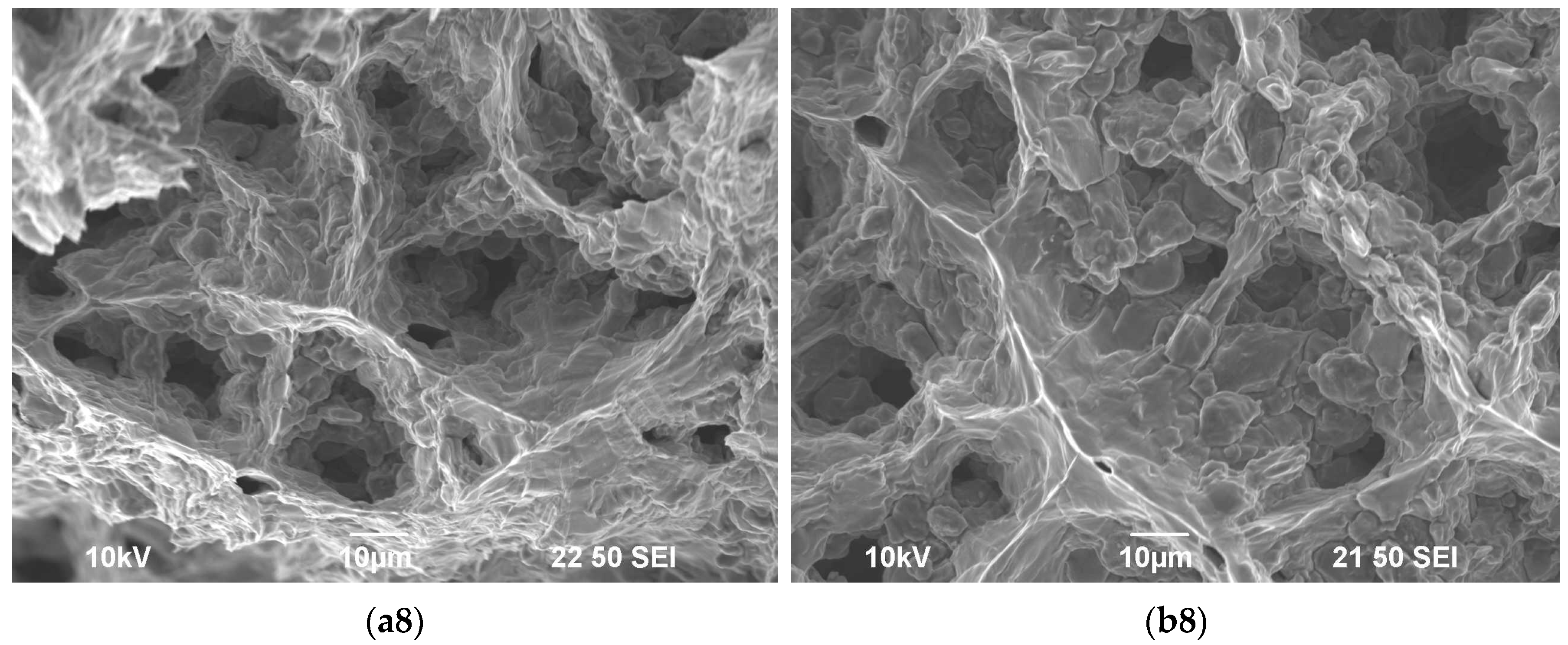 Metals 13 00133 g0a4d Metals 13 00133 g0a4d