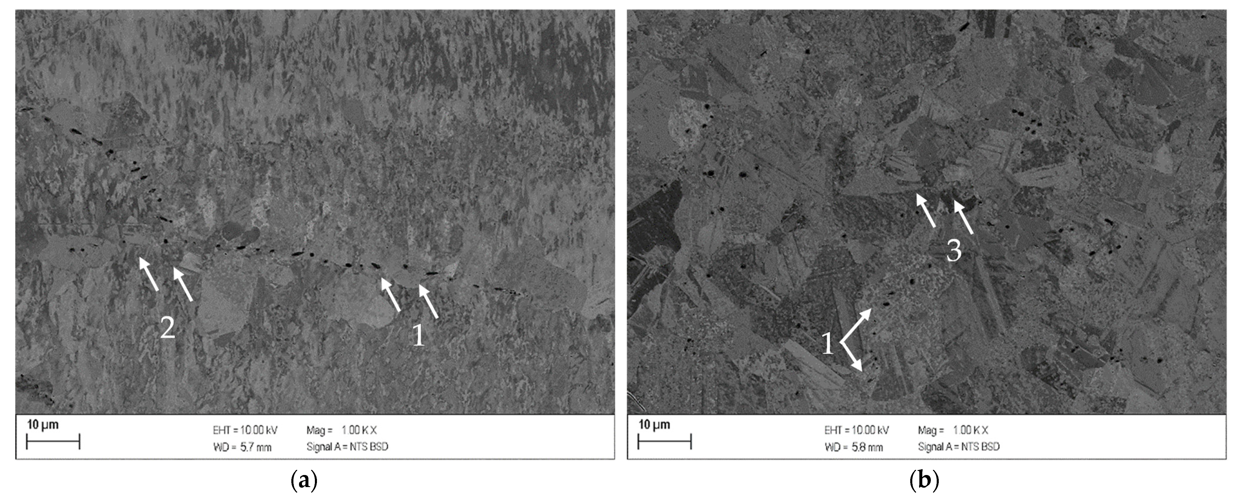 Metals 13 00150 g005 Metals 13 00150 g005