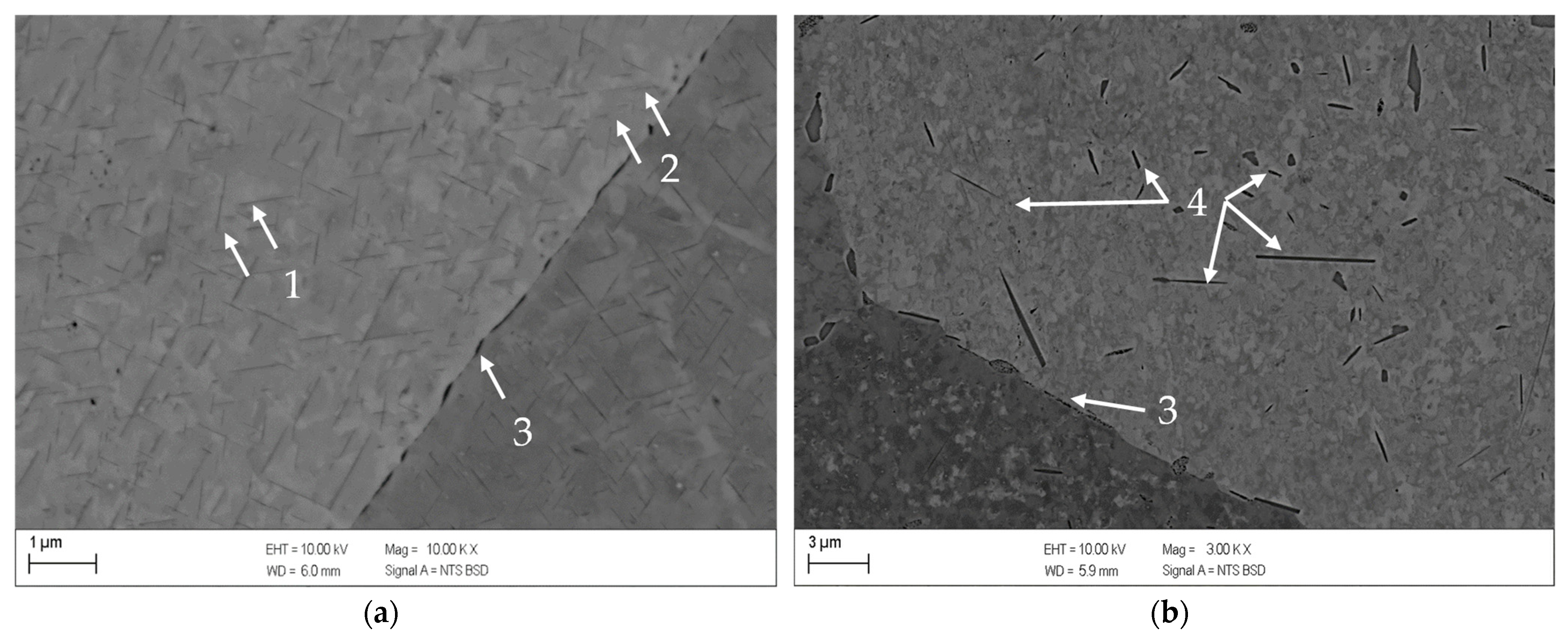 Metals 13 00150 g008 Metals 13 00150 g008