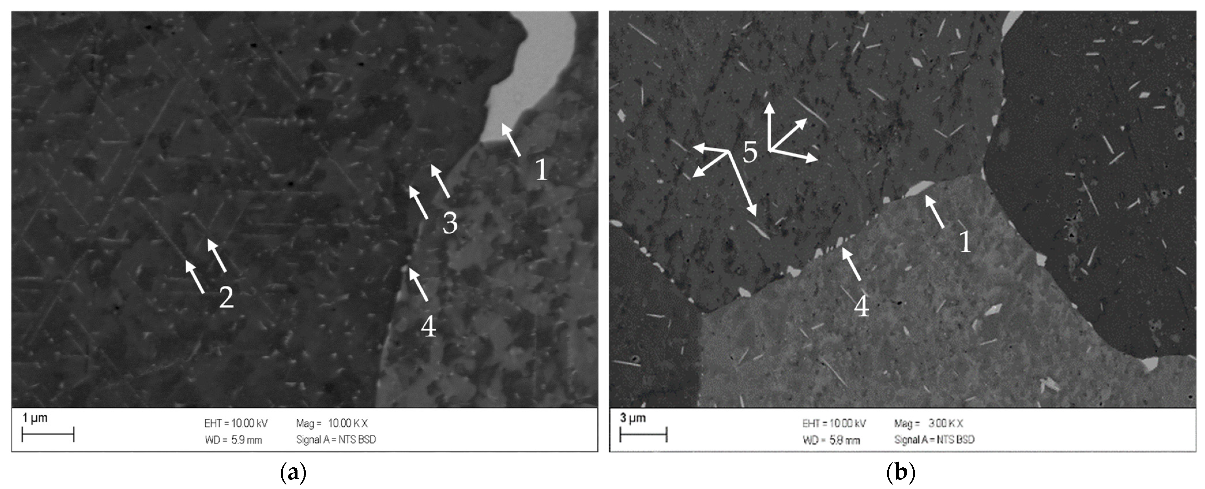 Metals 13 00150 g012 Metals 13 00150 g012