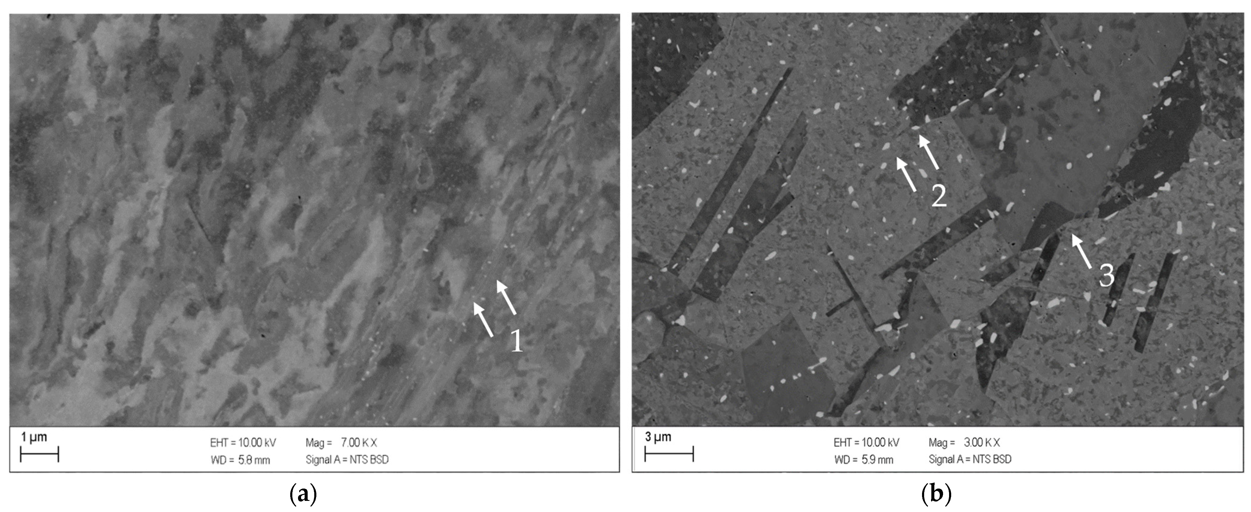 Metals 13 00150 g013 Metals 13 00150 g013