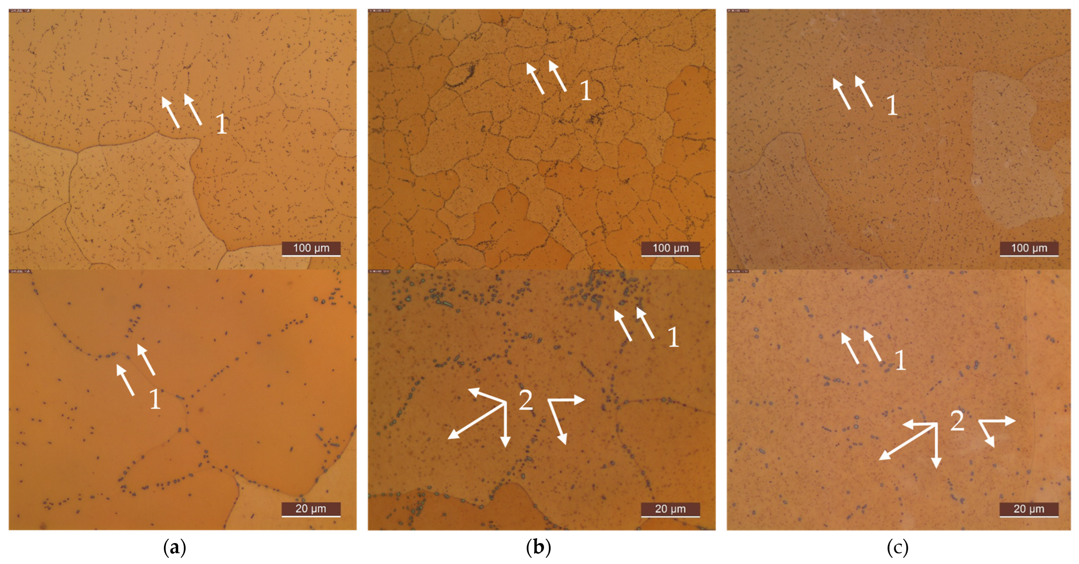 Metals 13 00150 g0a5 Metals 13 00150 g0a5