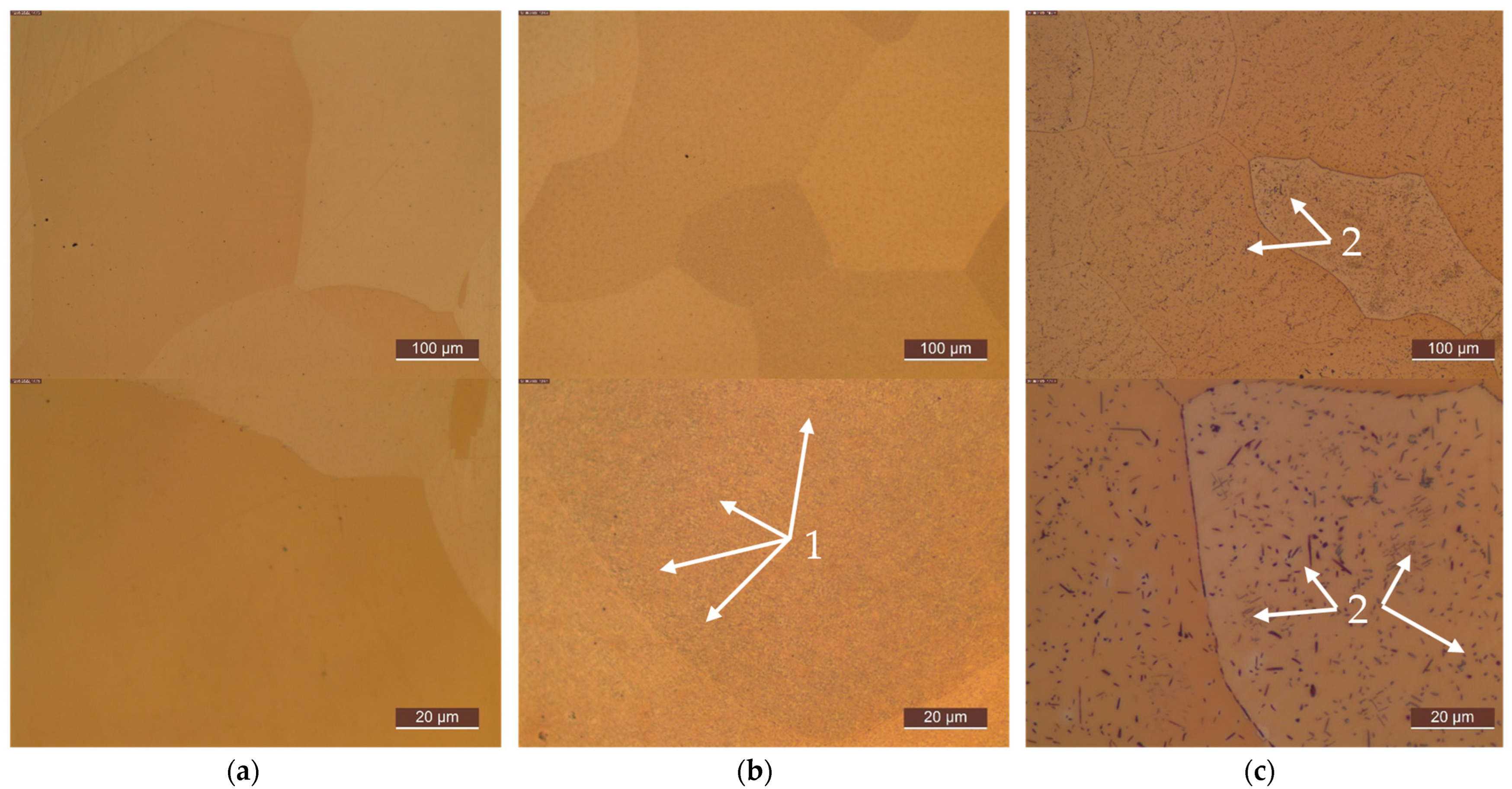 Metals 13 00150 g0a7 Metals 13 00150 g0a7
