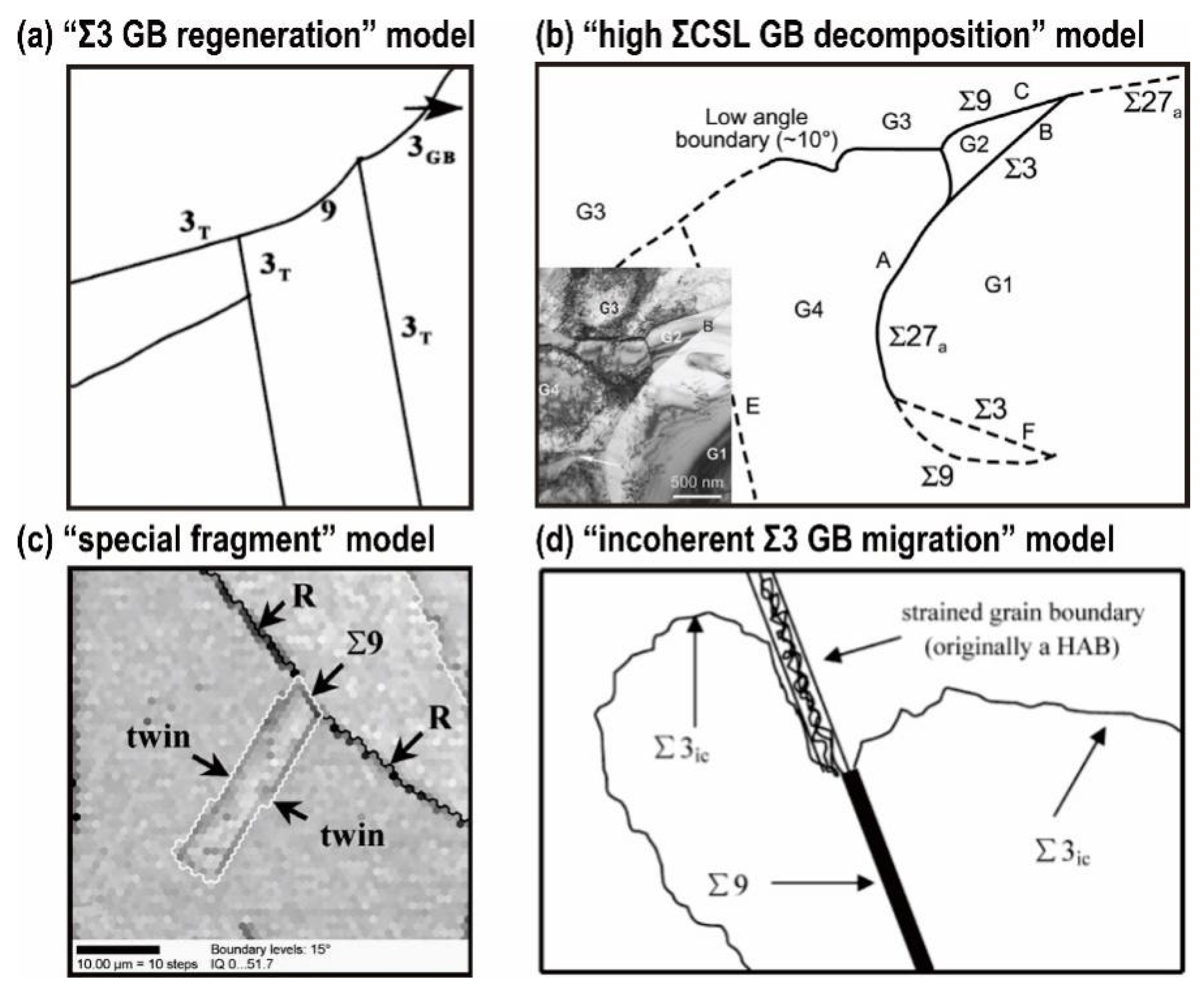 Metals Free FullText TwinRelated Grain Boundary Engineering and