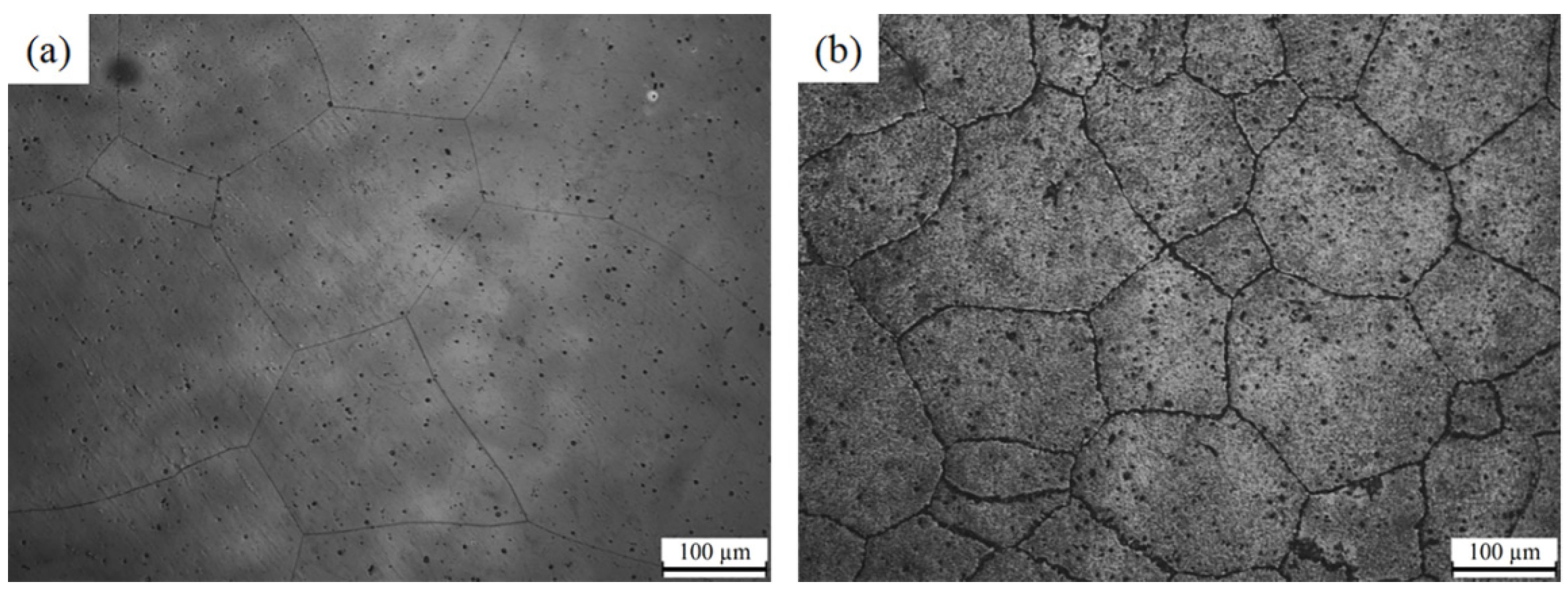 Metals 13 00159 g001 Metals 13 00159 g001