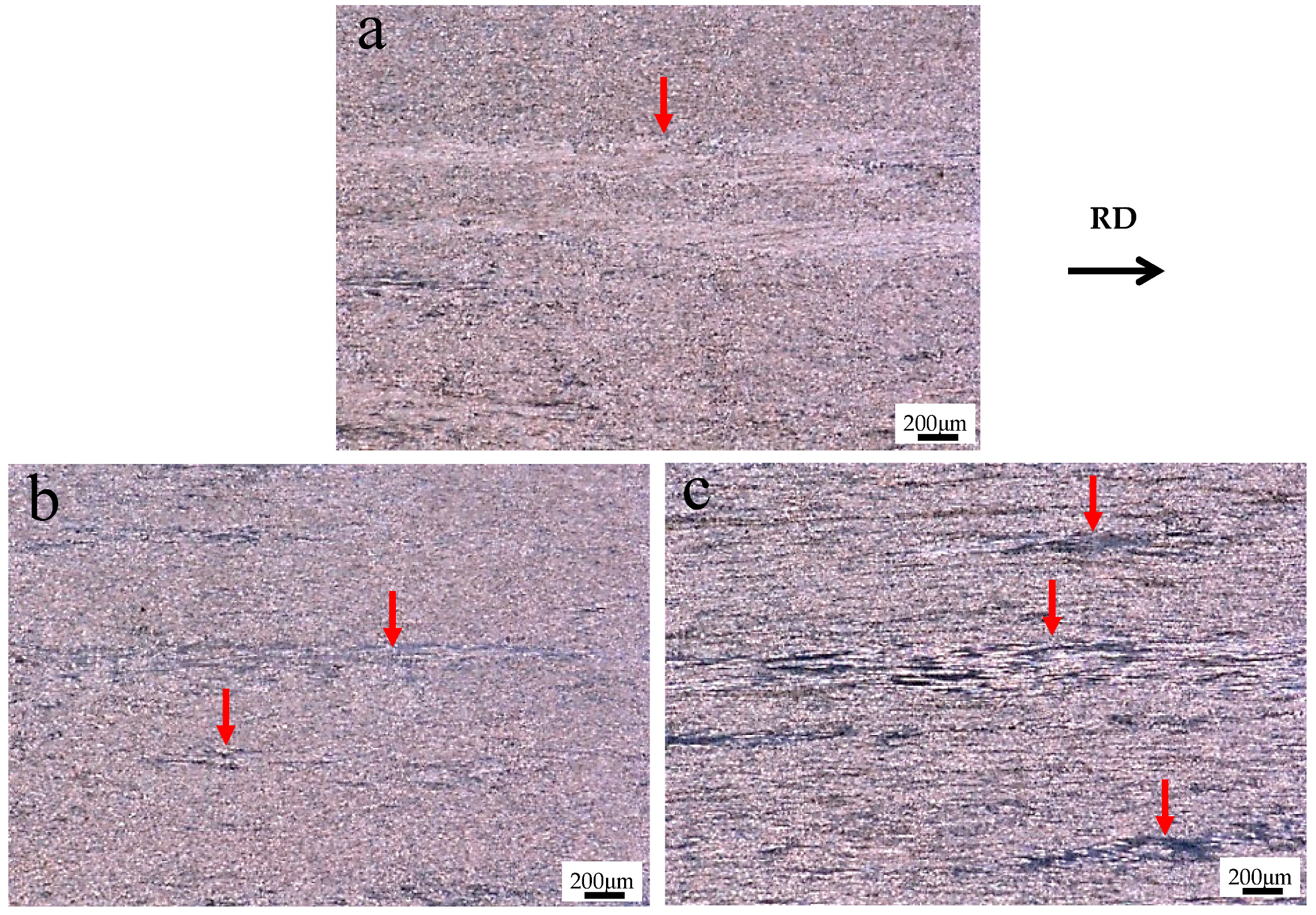 Metals 13 00170 g001 Metals 13 00170 g001