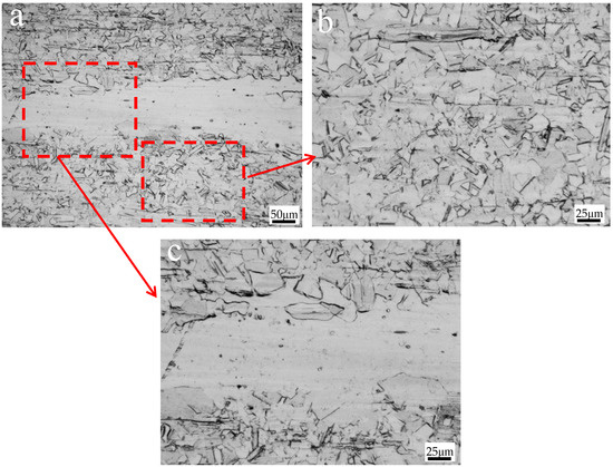 Effect of Copper on Microstructure and Corrosion Resistance