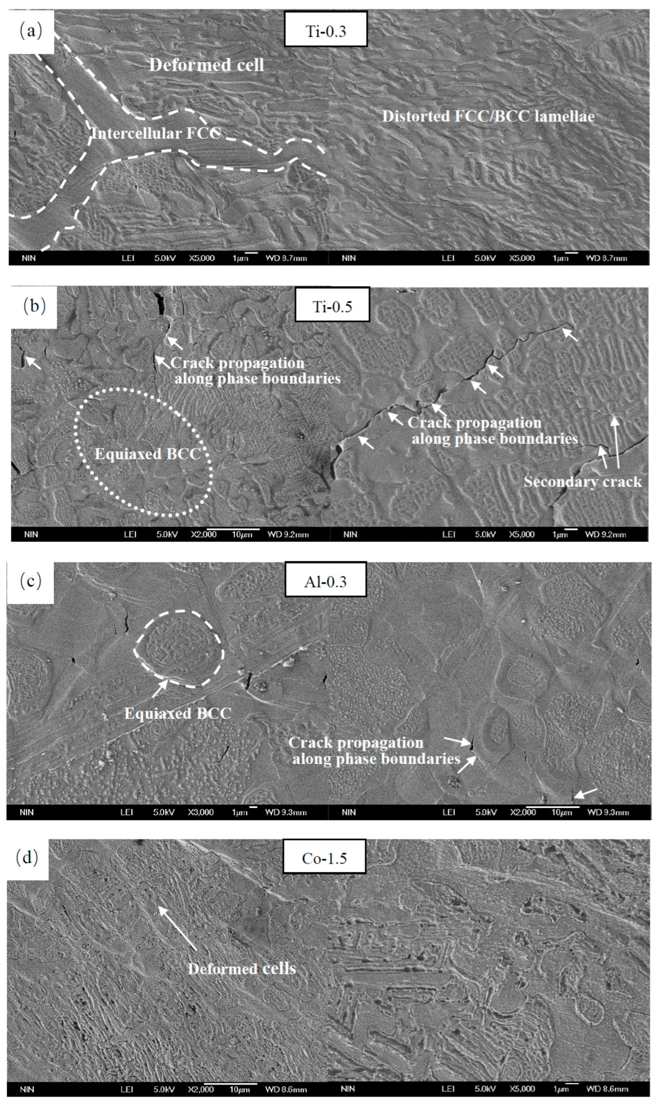 Metals 13 00178 g012a
