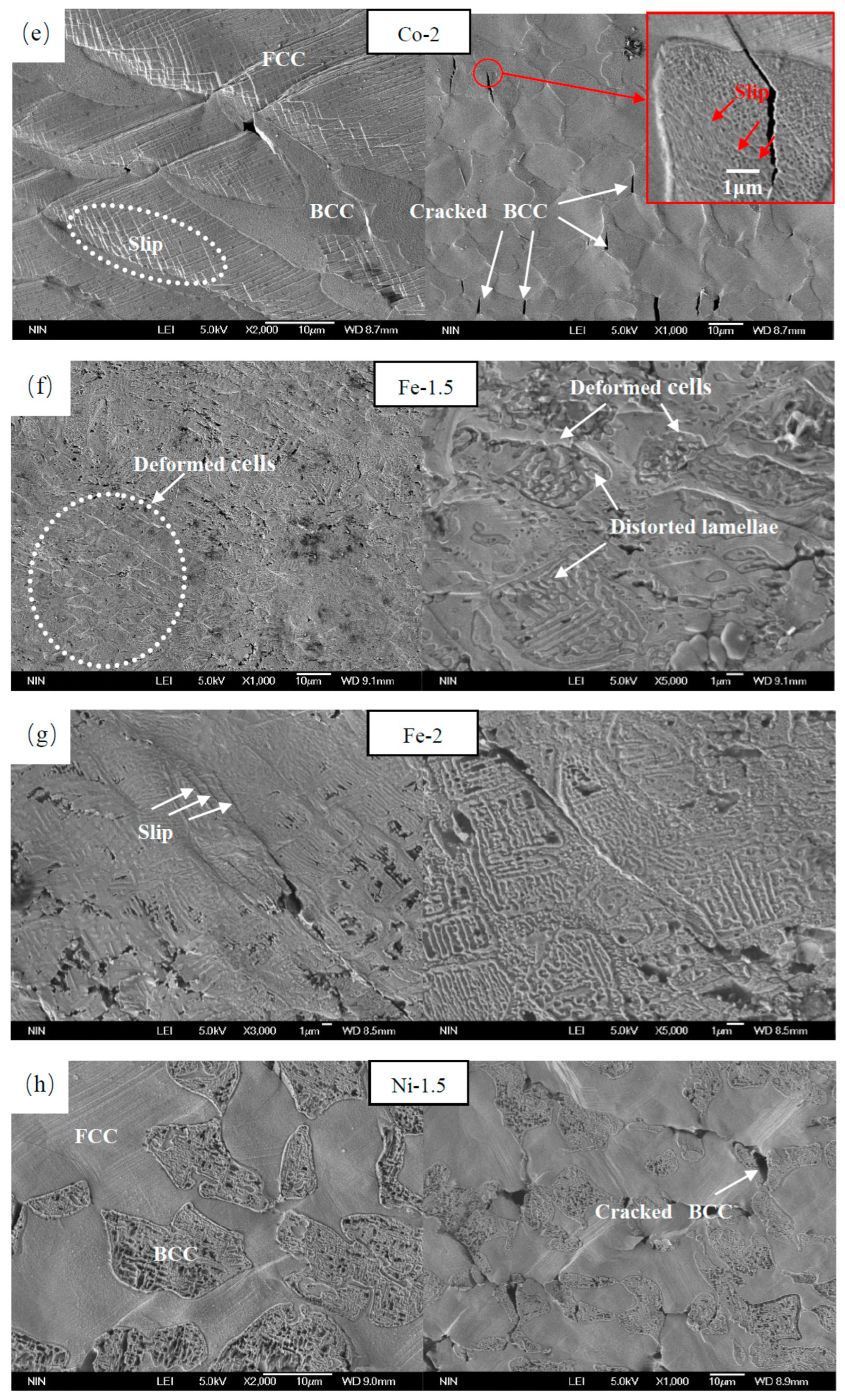 Metals 13 00178 g012b