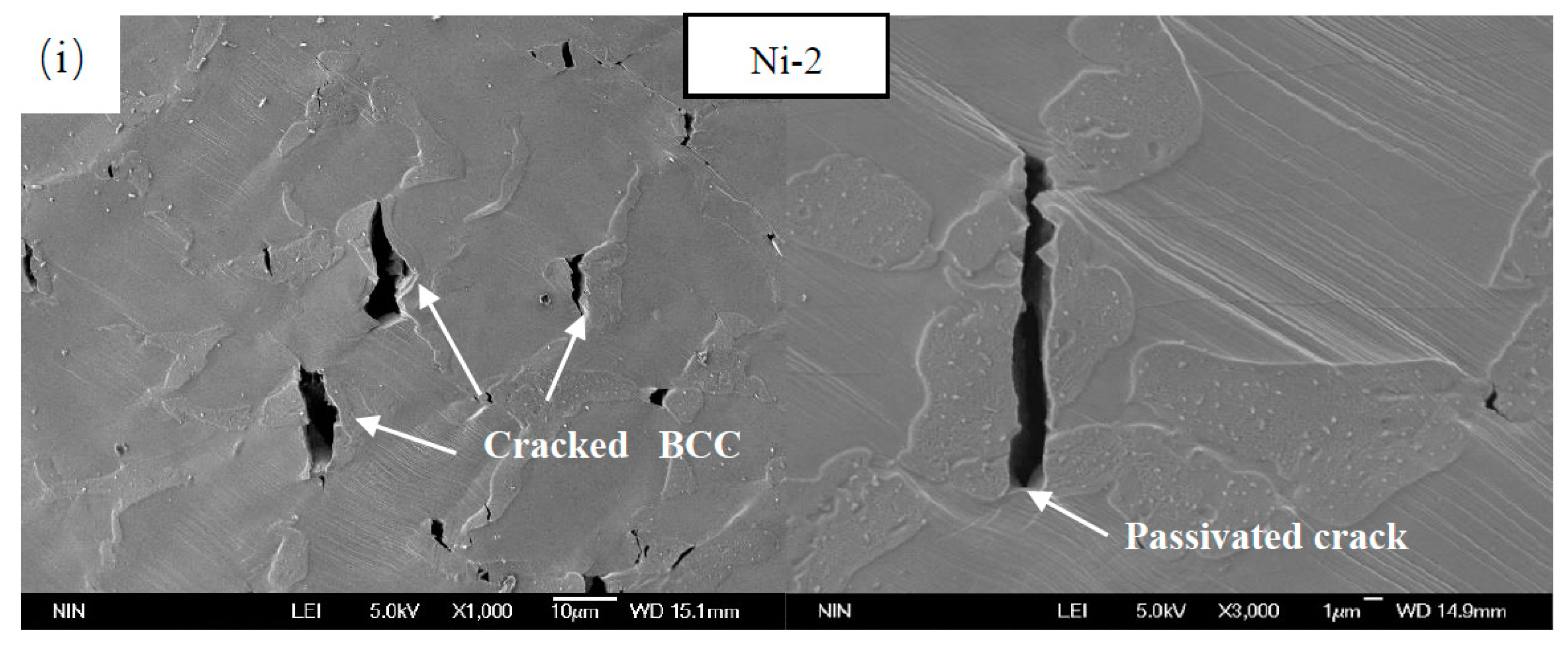 Metals 13 00178 g012c