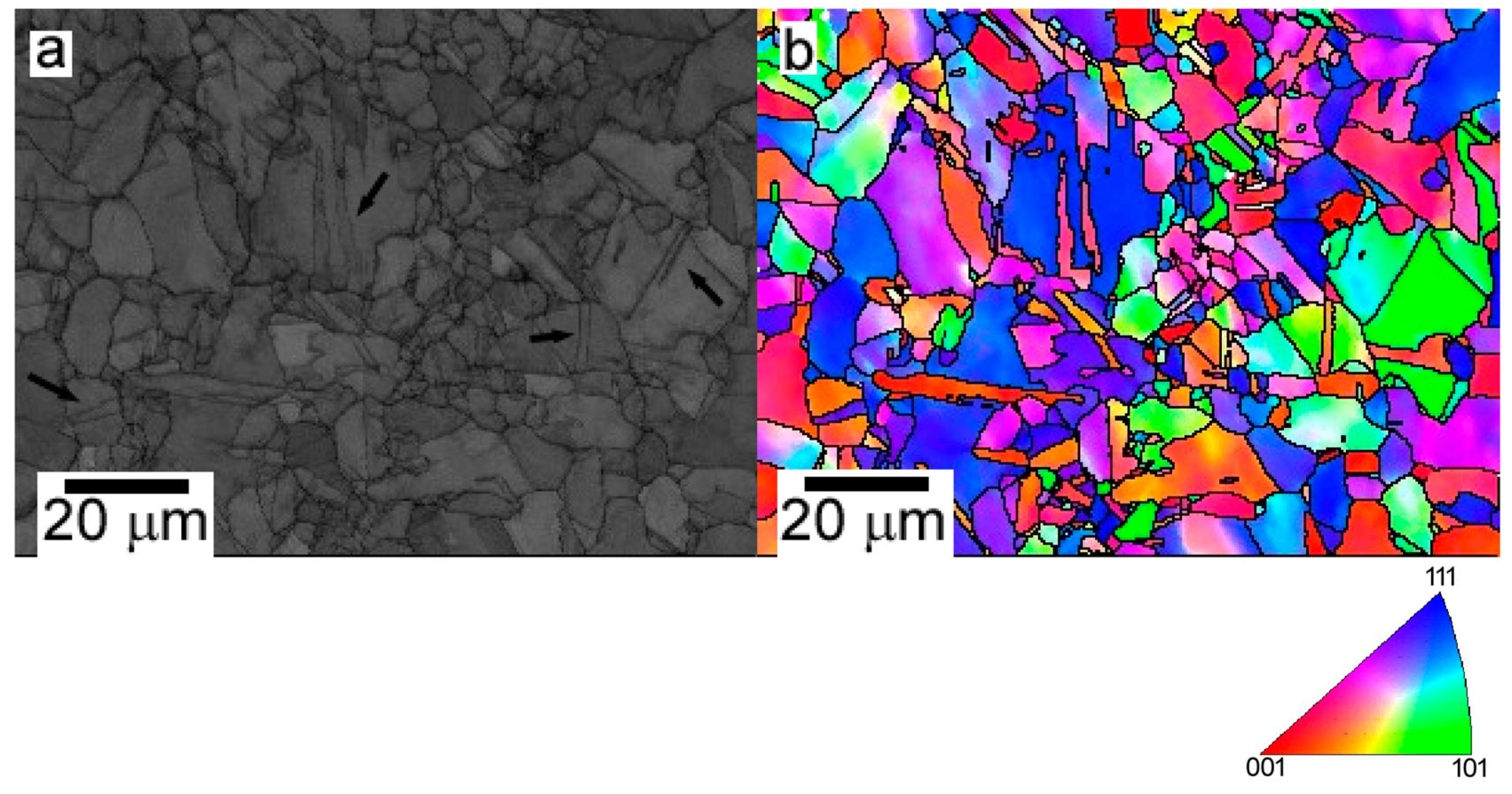 Metals 13 00180 g006