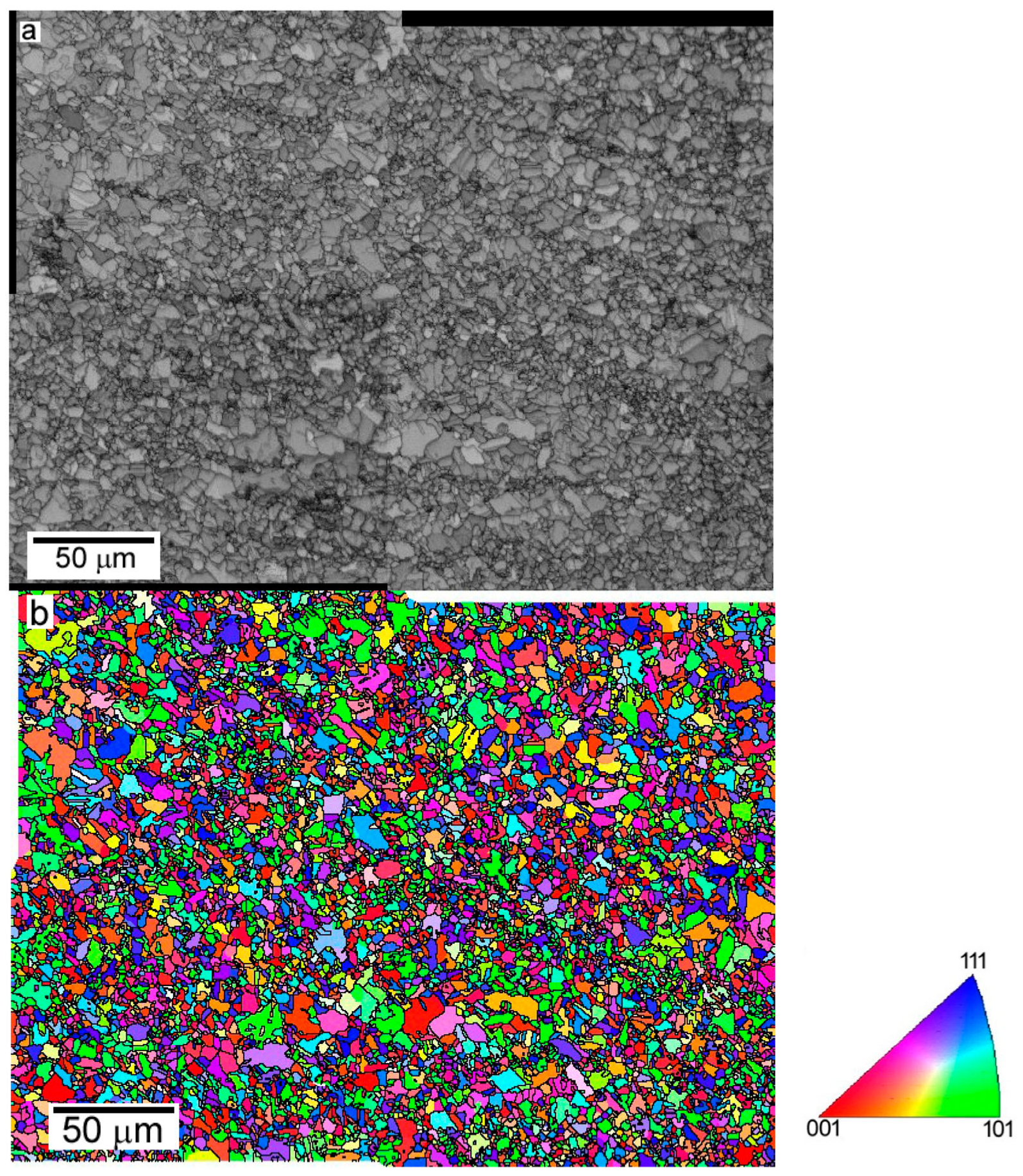 Metals 13 00180 g010