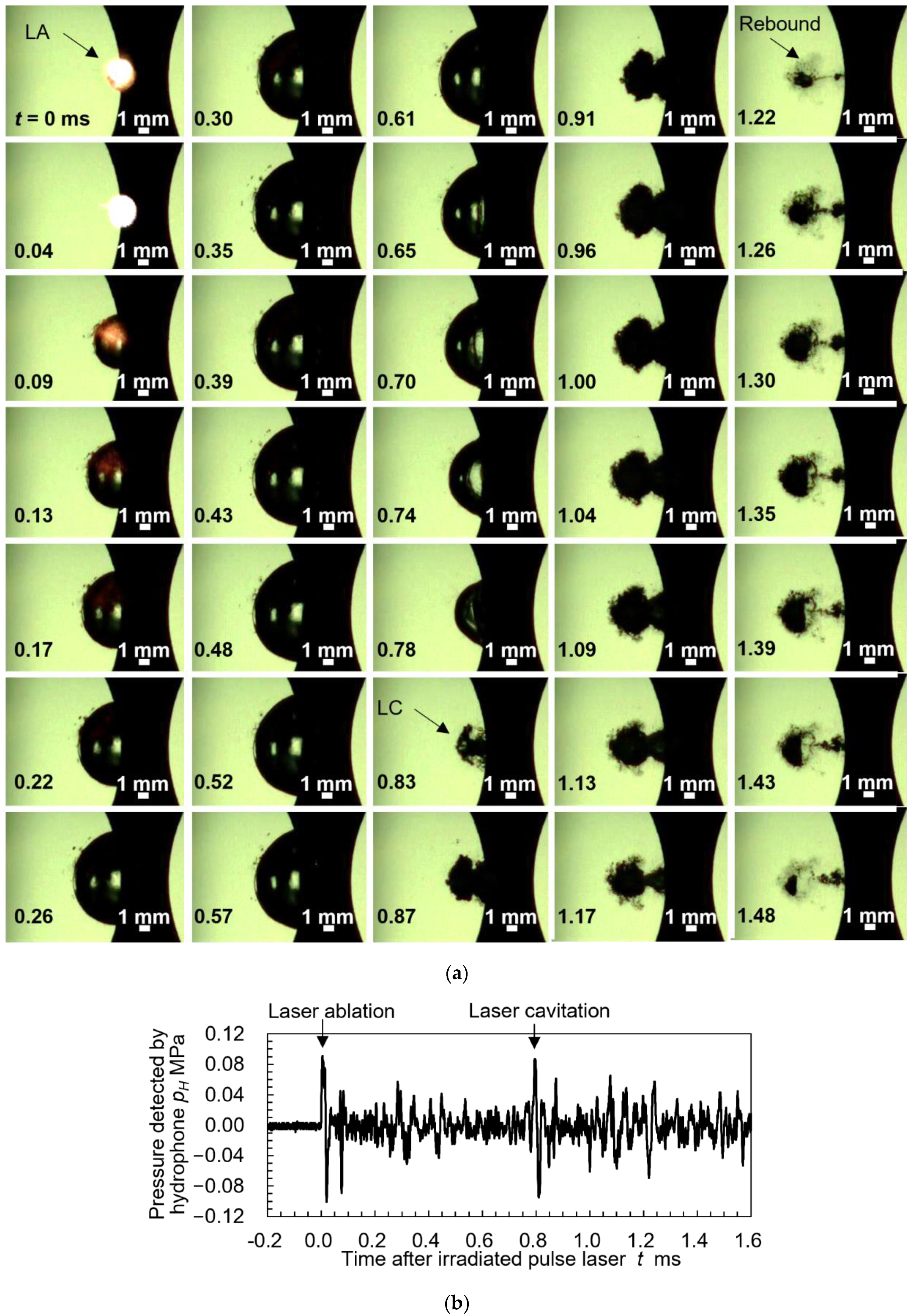 Metals 13 00181 g005