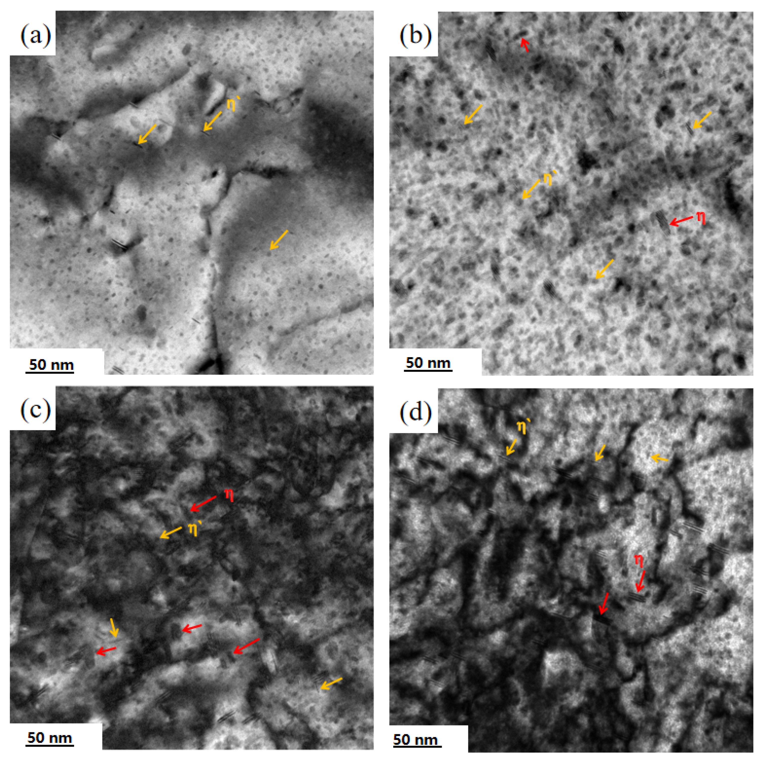 Metals 13 00182 g010