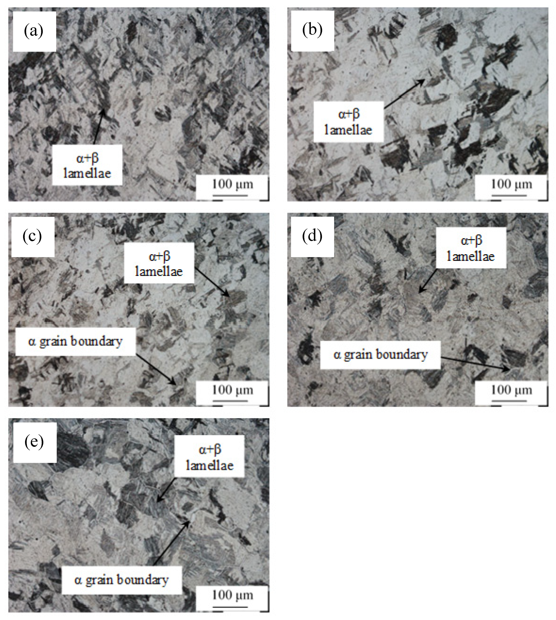 Metals 13 00189 g002