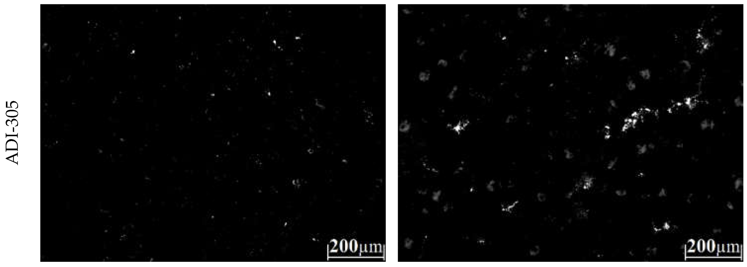 Metals 13 00198 g010b Metals 13 00198 g010b