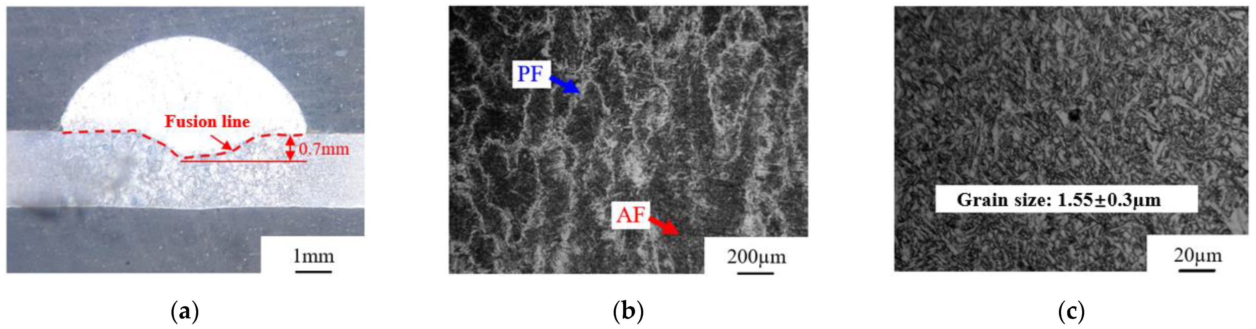 Metals 13 00199 g021 Metals 13 00199 g021