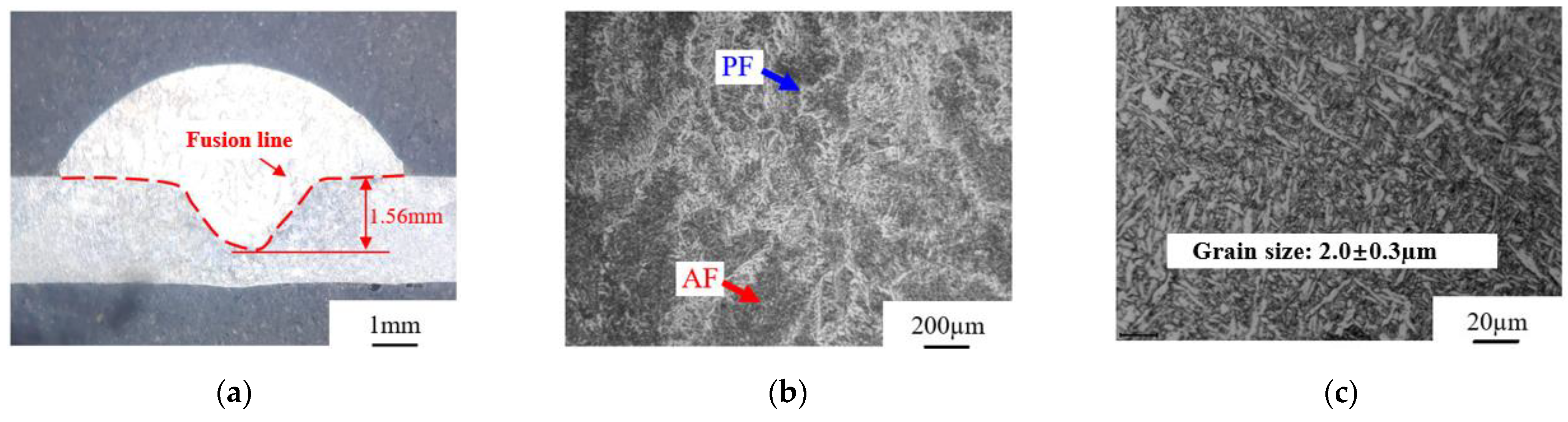Metals 13 00199 g023 Metals 13 00199 g023