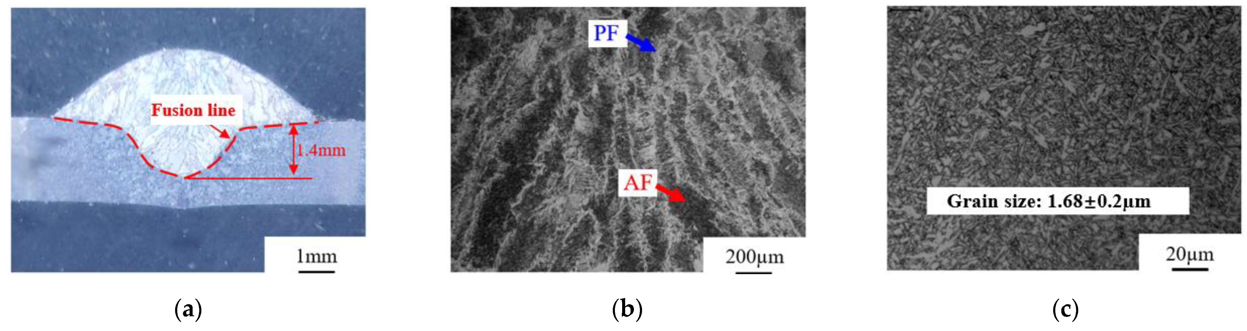 Metals 13 00199 g024 Metals 13 00199 g024