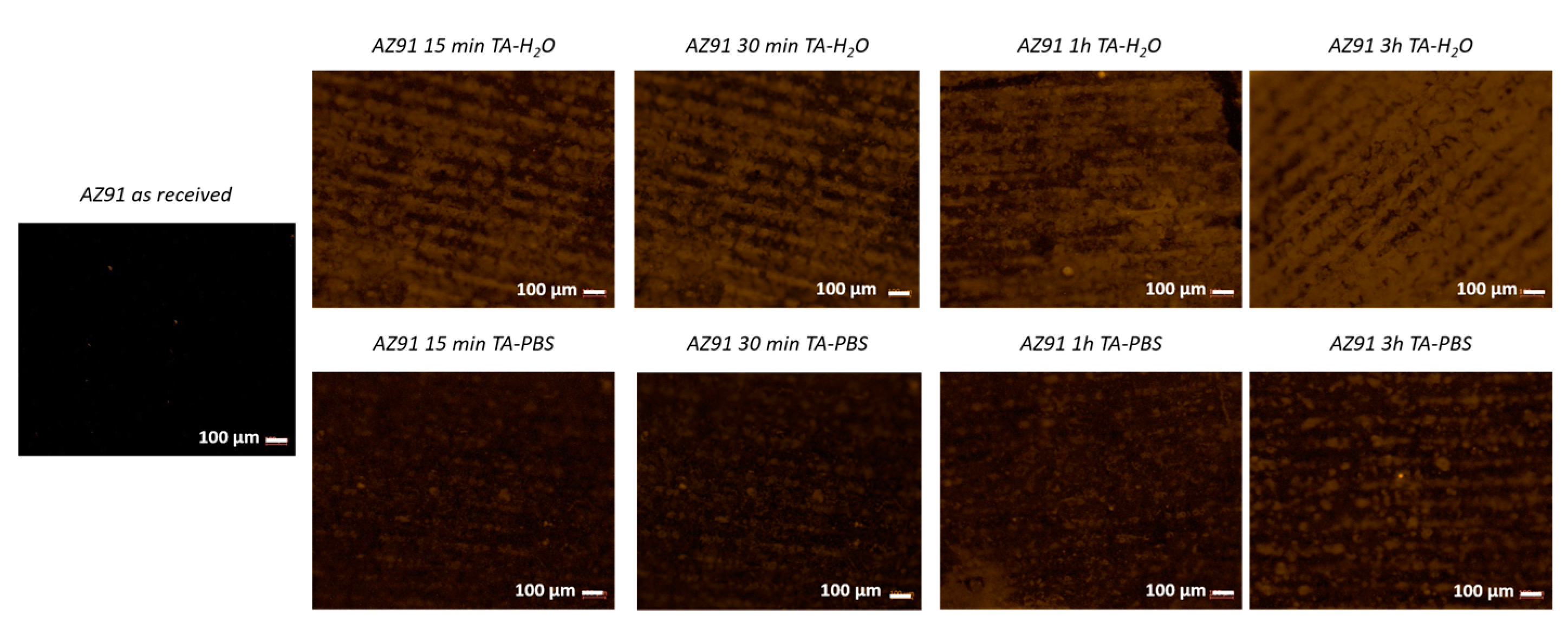 Metals 13 00200 g007