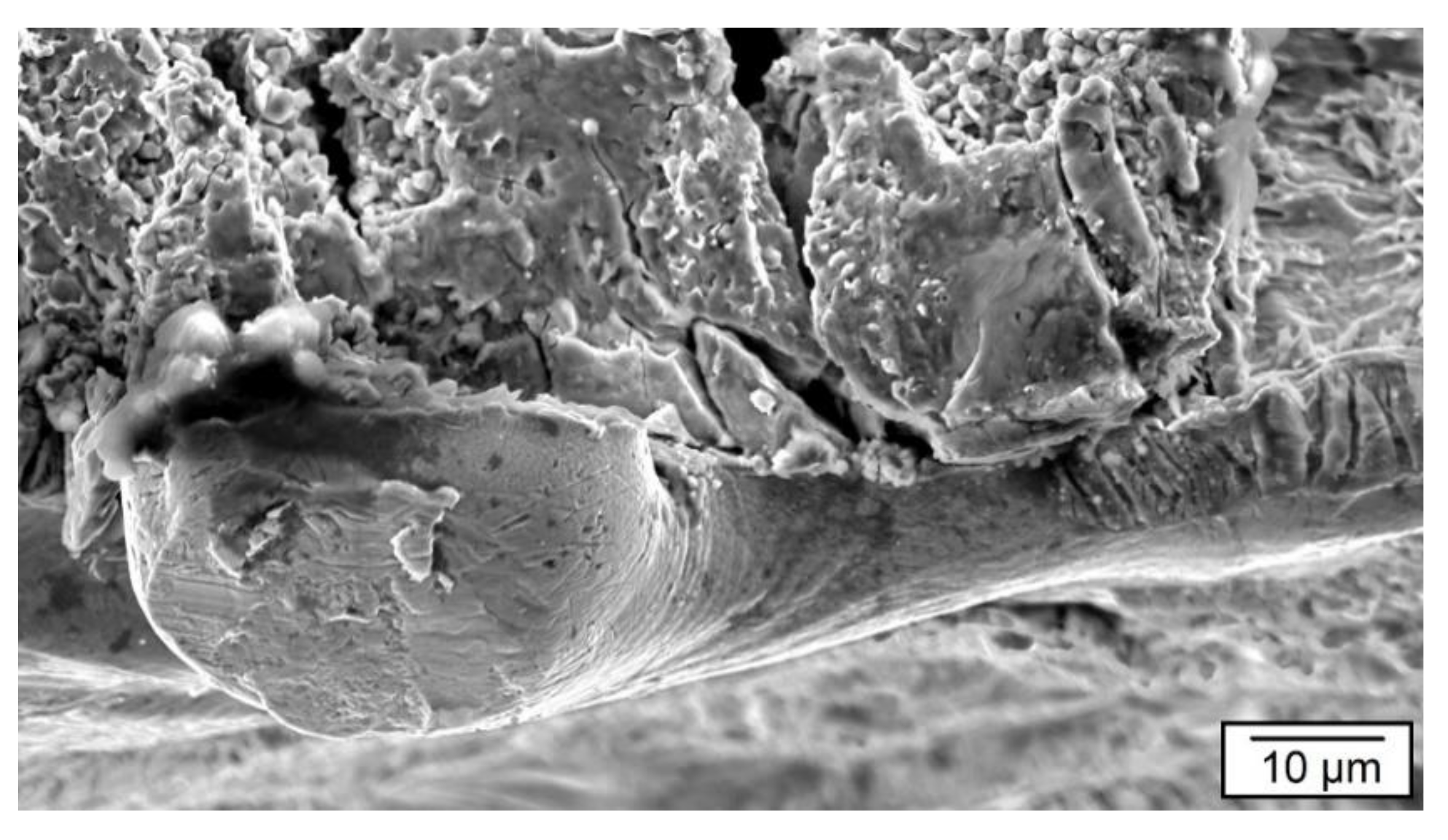 Metals 13 00201 g010 Metals 13 00201 g010