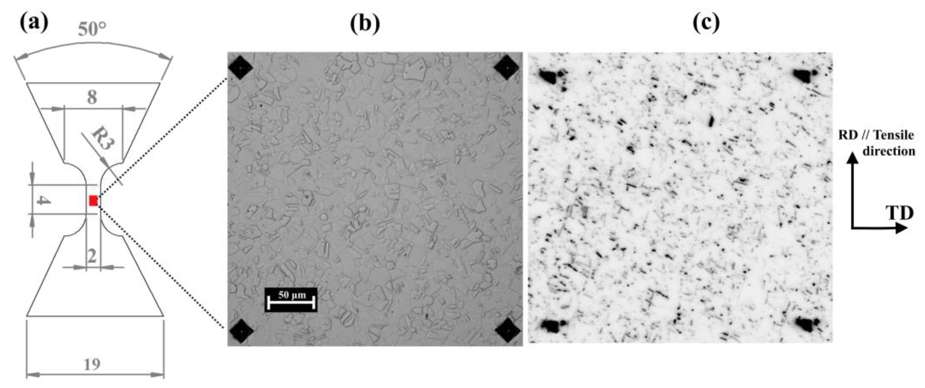 Metals 13 00207 g001