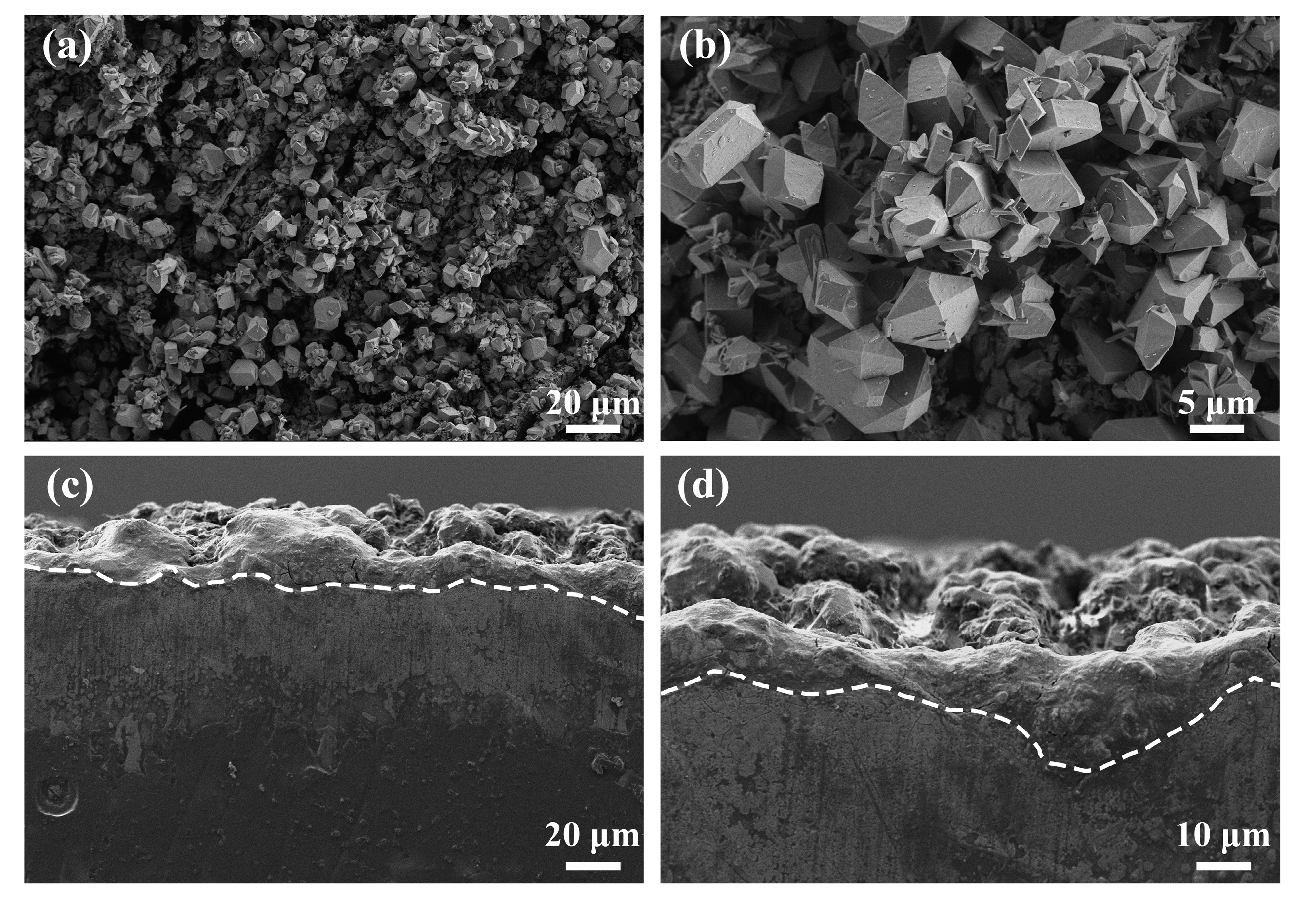 Metals 13 00219 g003 Metals 13 00219 g003