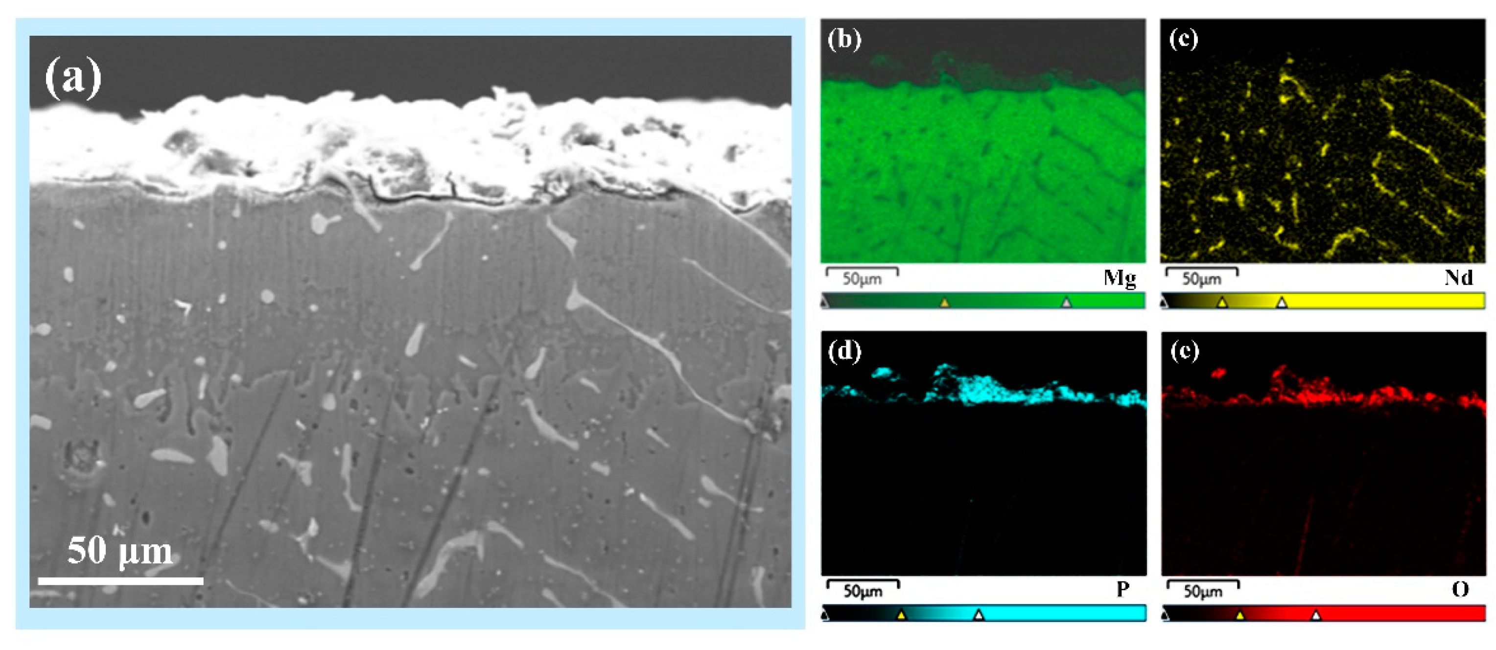 Metals 13 00219 g004 Metals 13 00219 g004