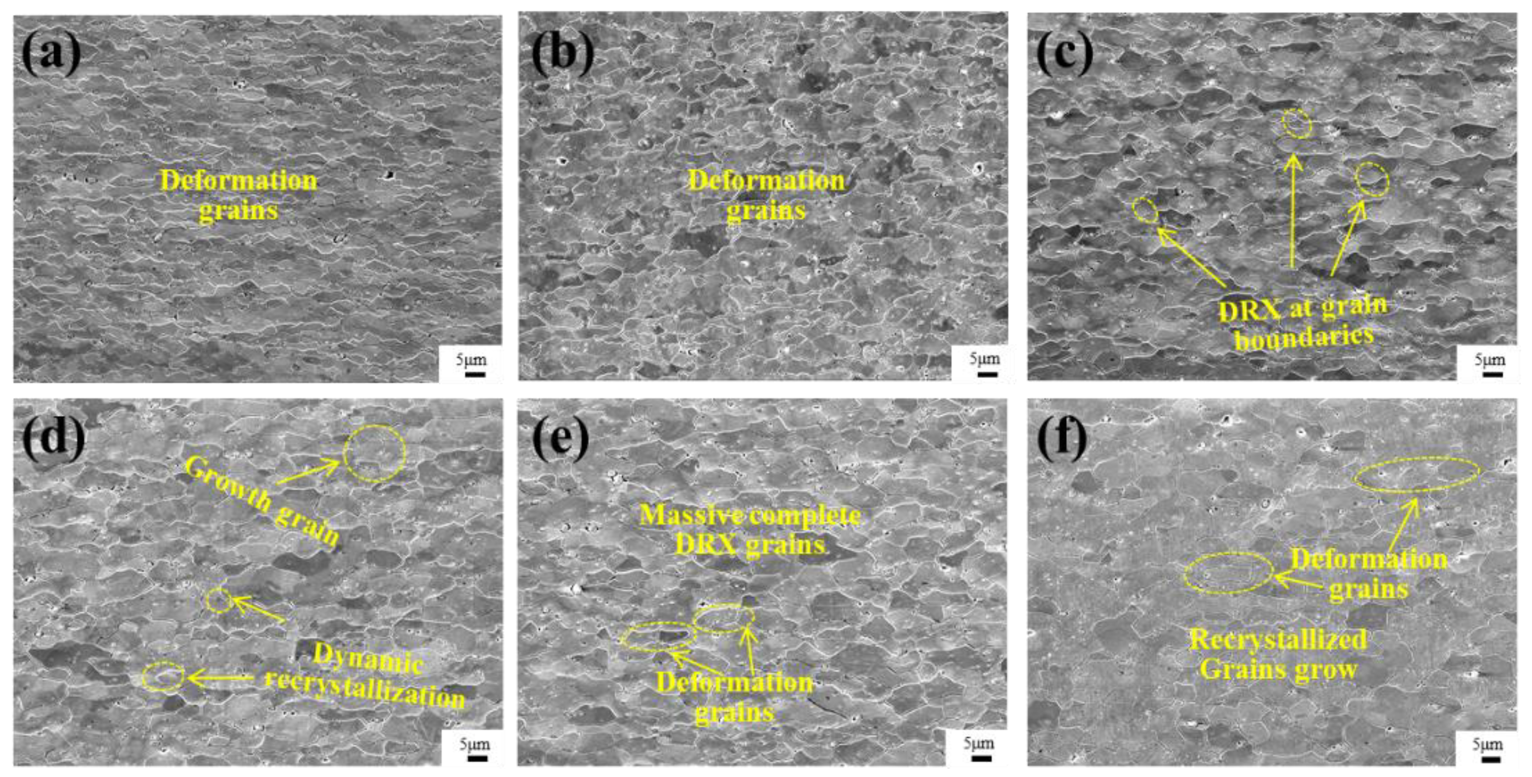 Metals 13 00238 g005 Metals 13 00238 g005