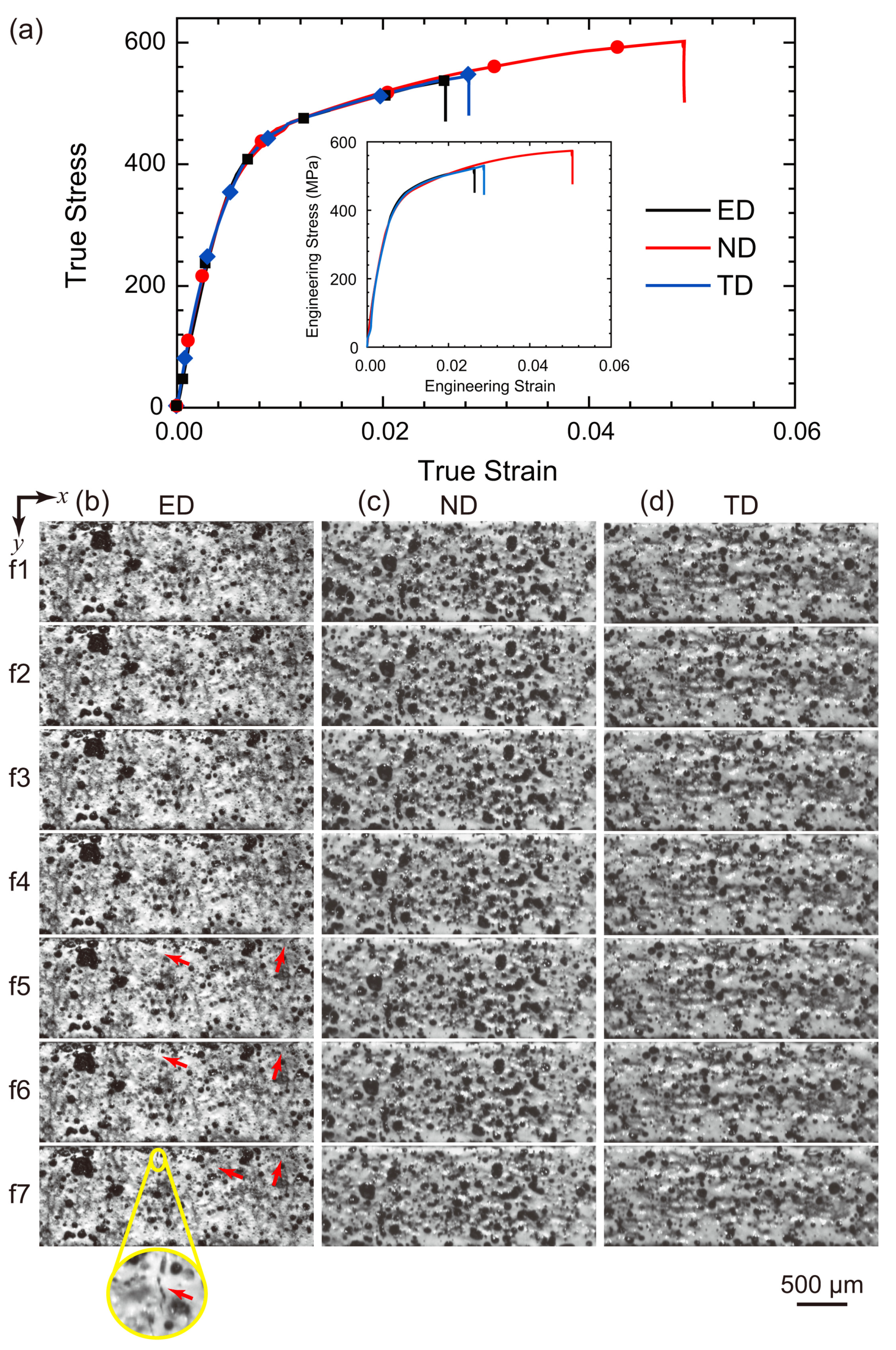 Metals 13 00254 g008