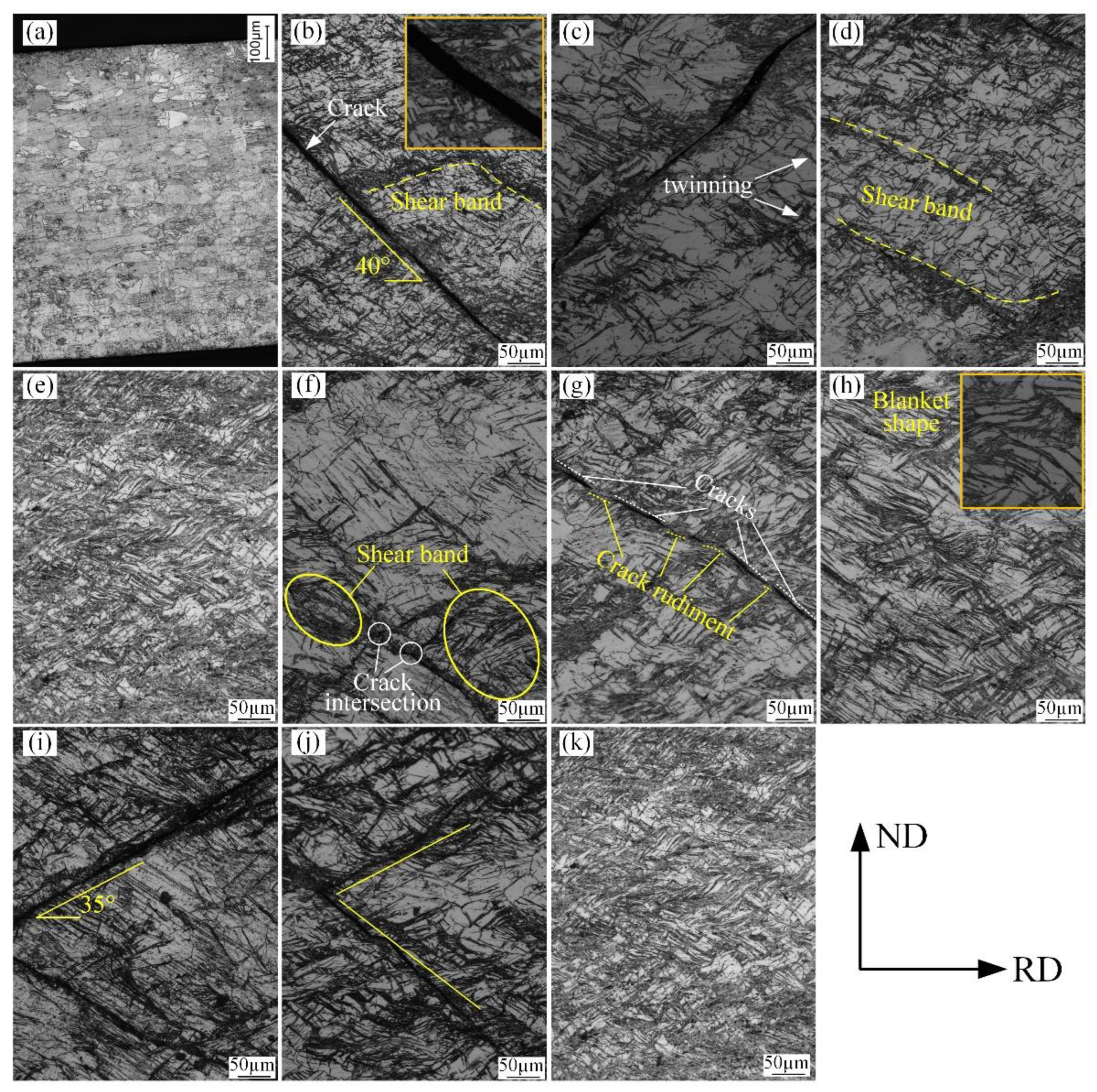 Metals 13 00274 g006