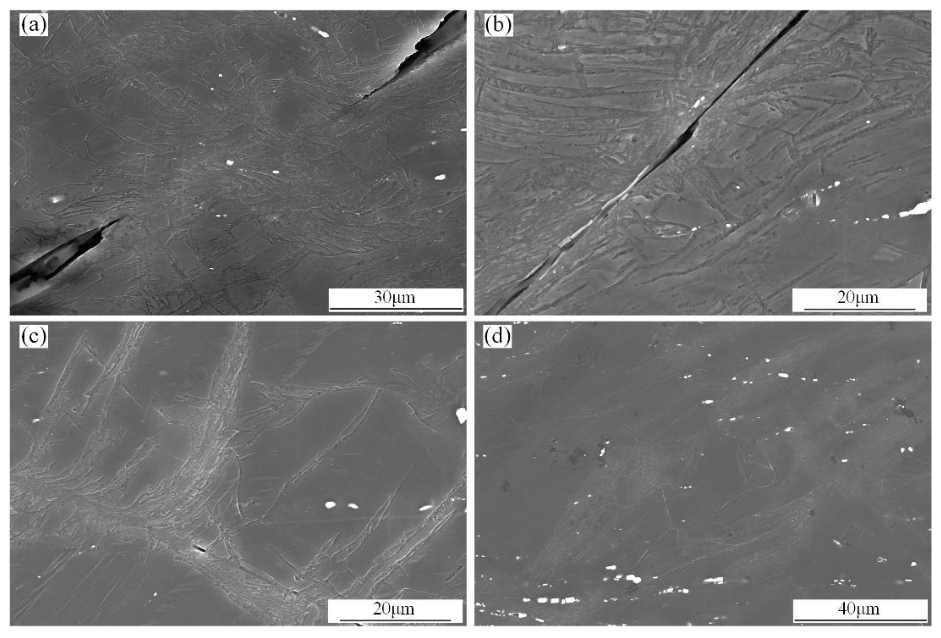 Metals 13 00274 g007