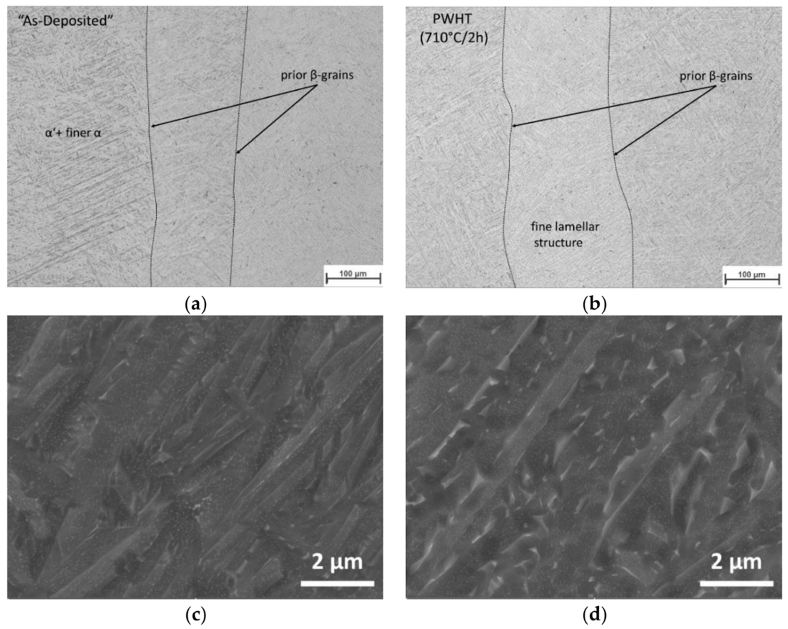 Metals 13 00279 g002 Metals 13 00279 g002