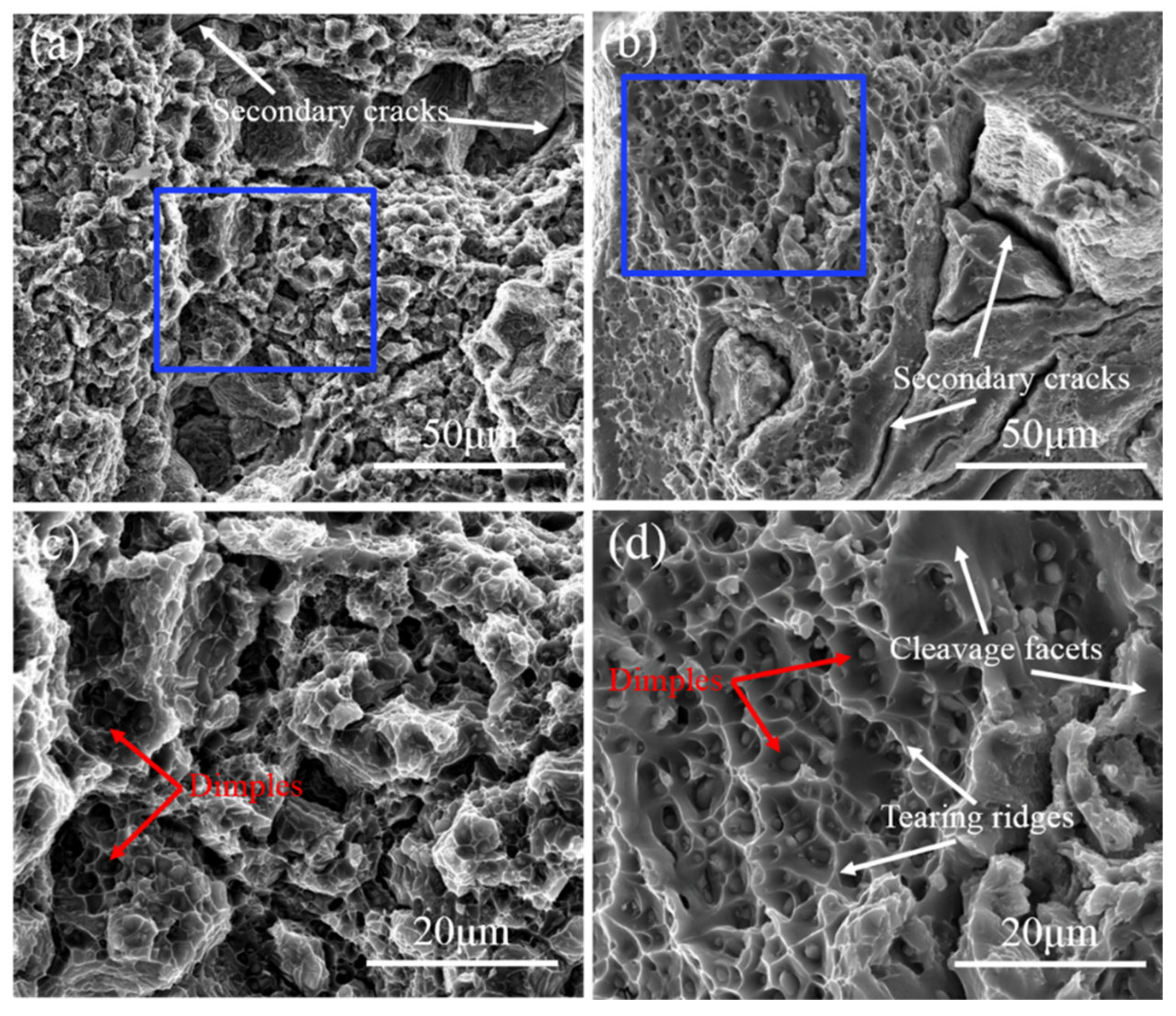 Metals | Free Full-Text | Investigation of Microstructures and 