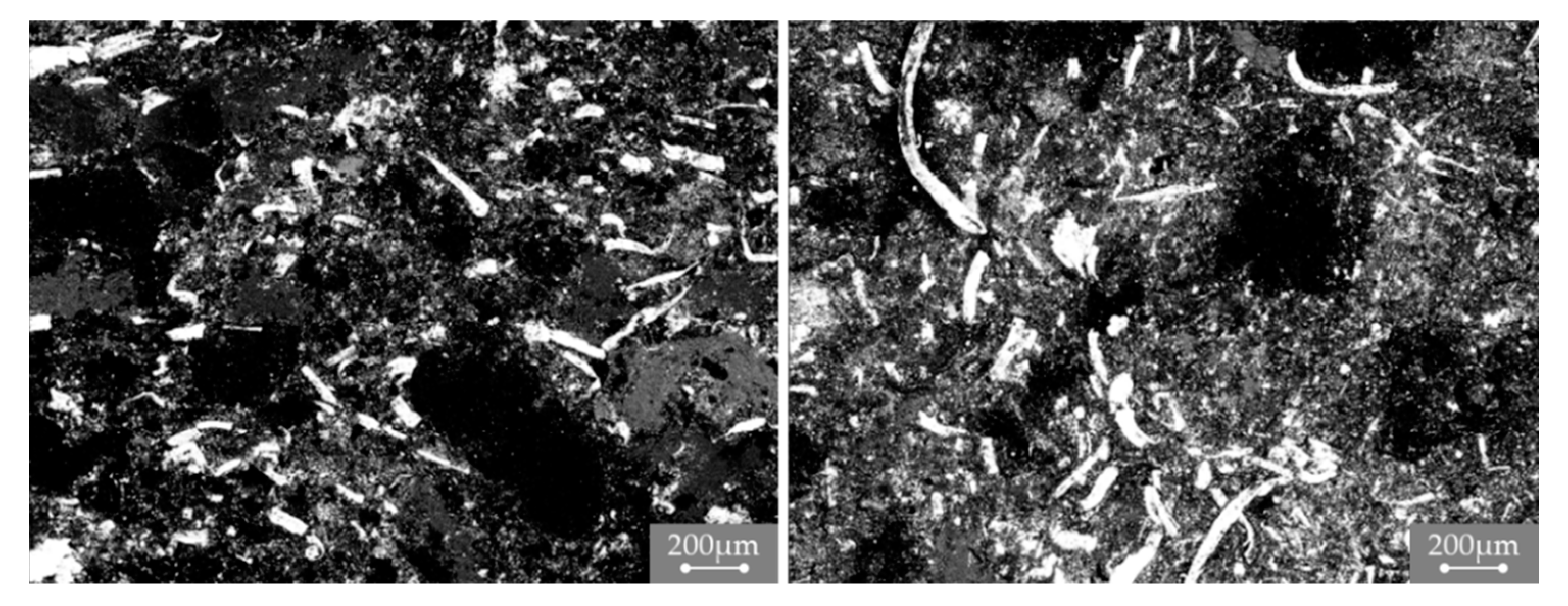 Metals 13 00300 g005 Metals 13 00300 g005