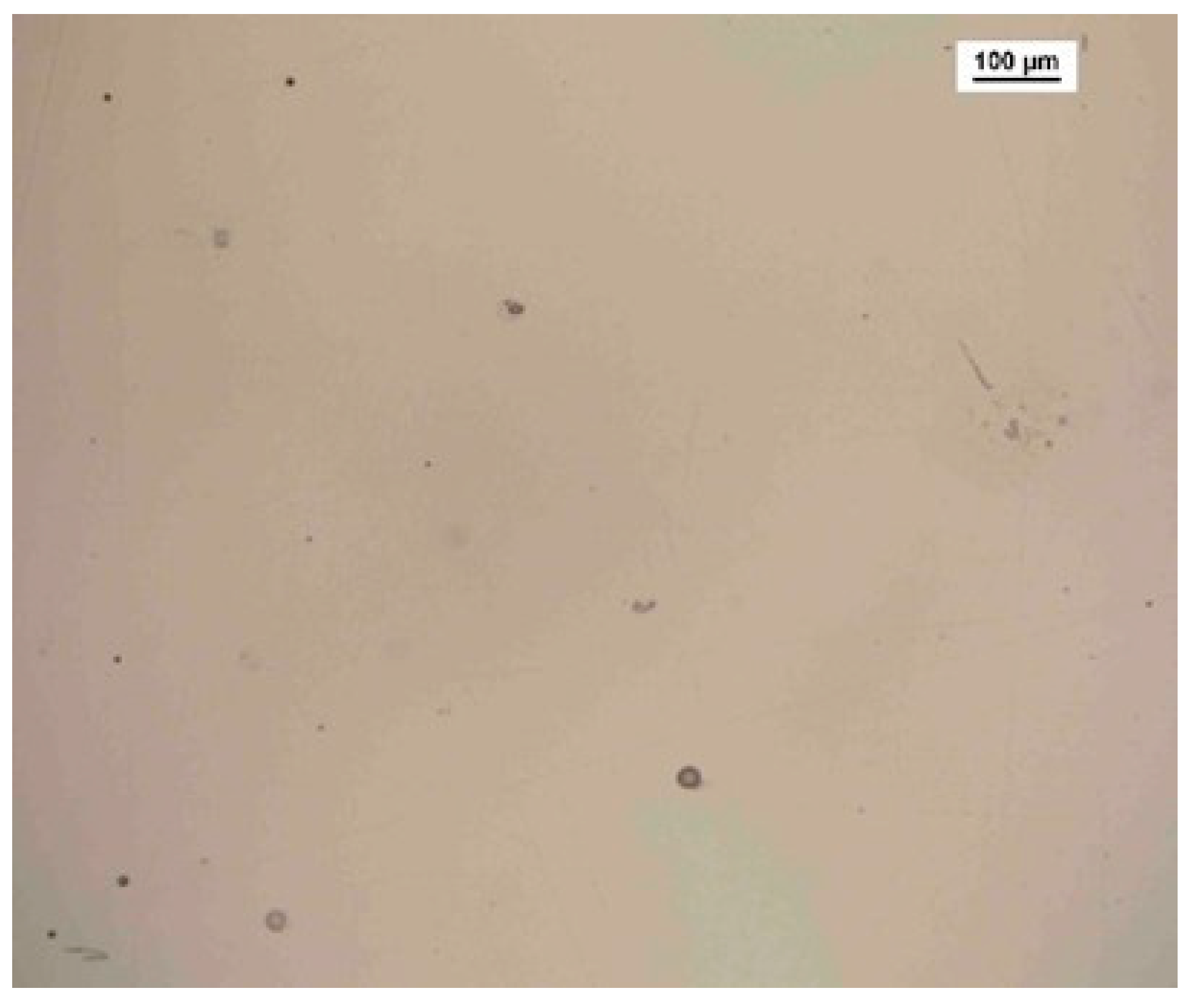 Metals 13 00306 g007 Metals 13 00306 g007