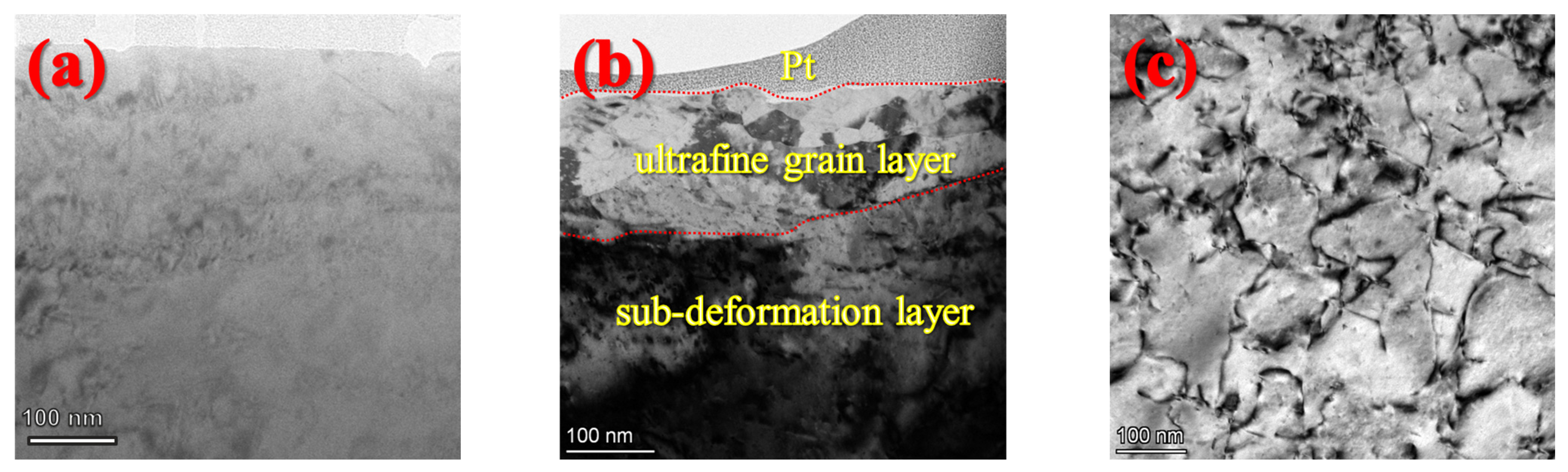 Metals 13 00336 g001 550