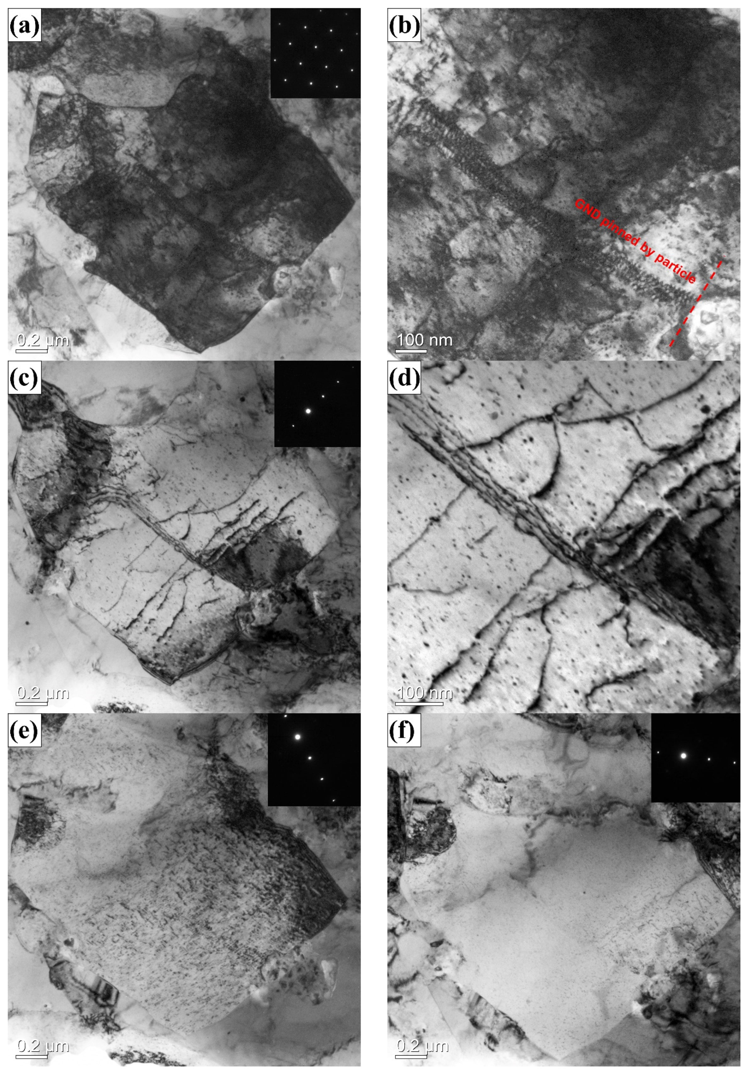 Metals 13 00338 g007