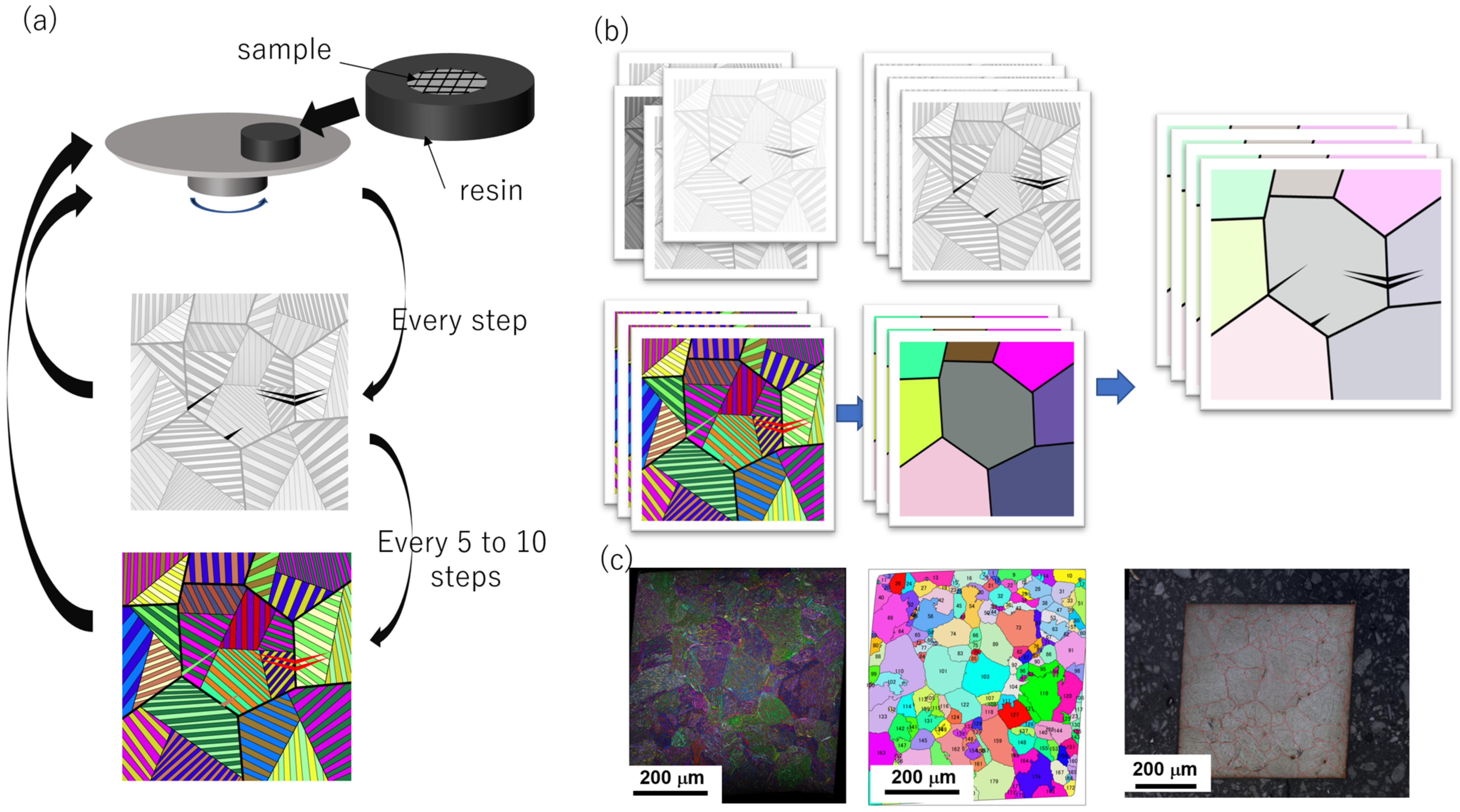 Metals 13 00355 g001 Metals 13 00355 g001