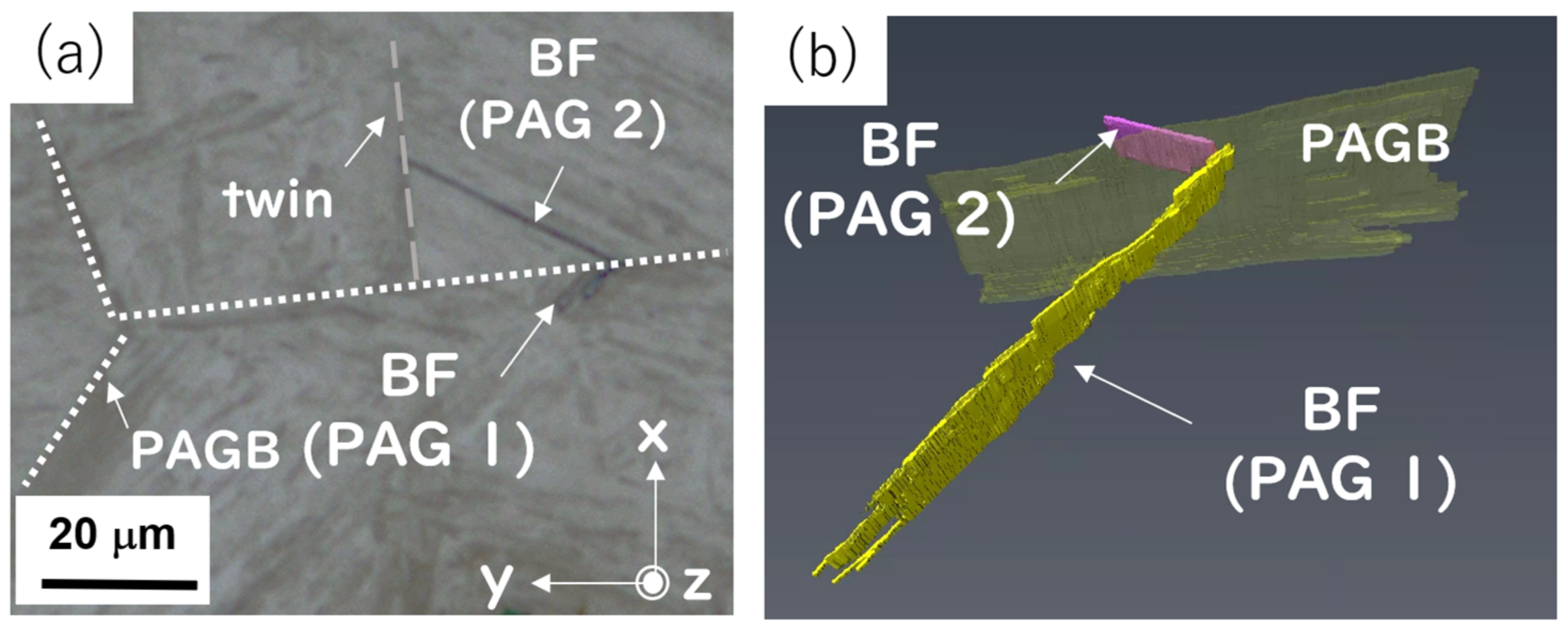 Metals 13 00355 g003 Metals 13 00355 g003