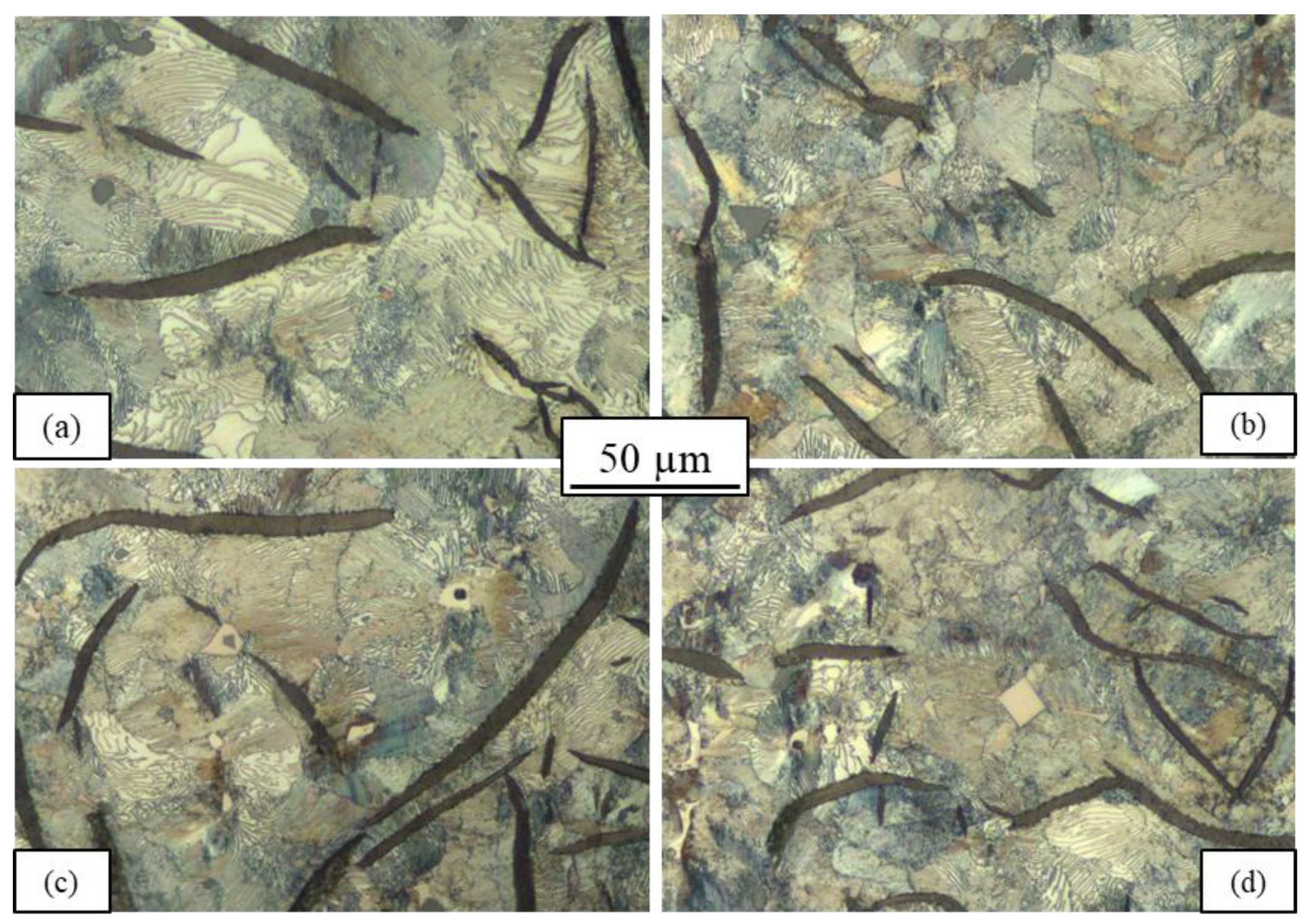 Metals 13 00365 g007