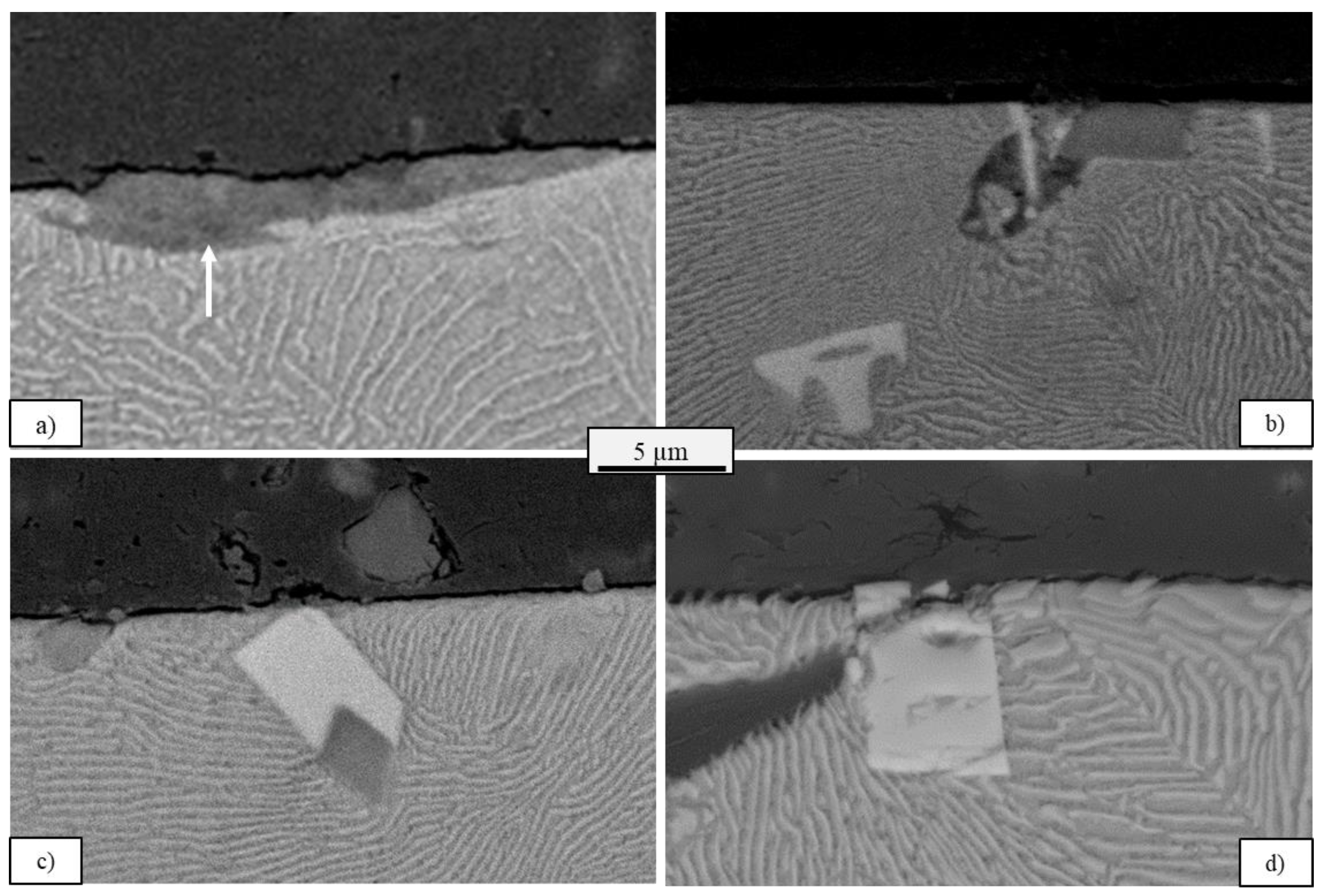 Metals 13 00365 g013