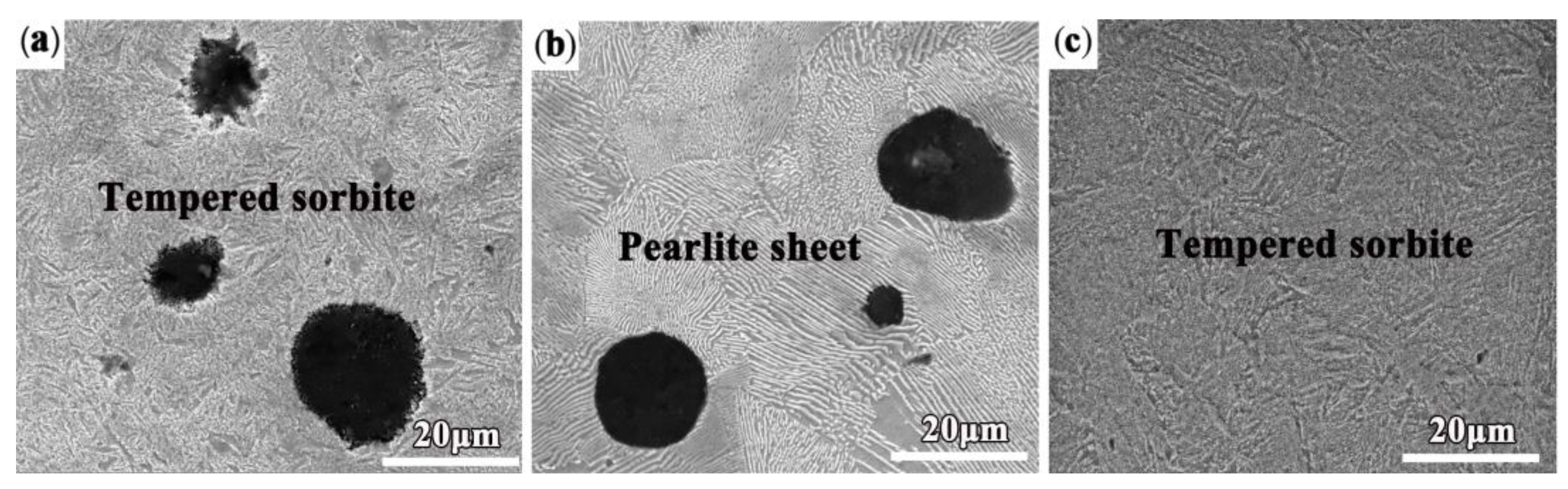 Metals 13 00378 g003 550