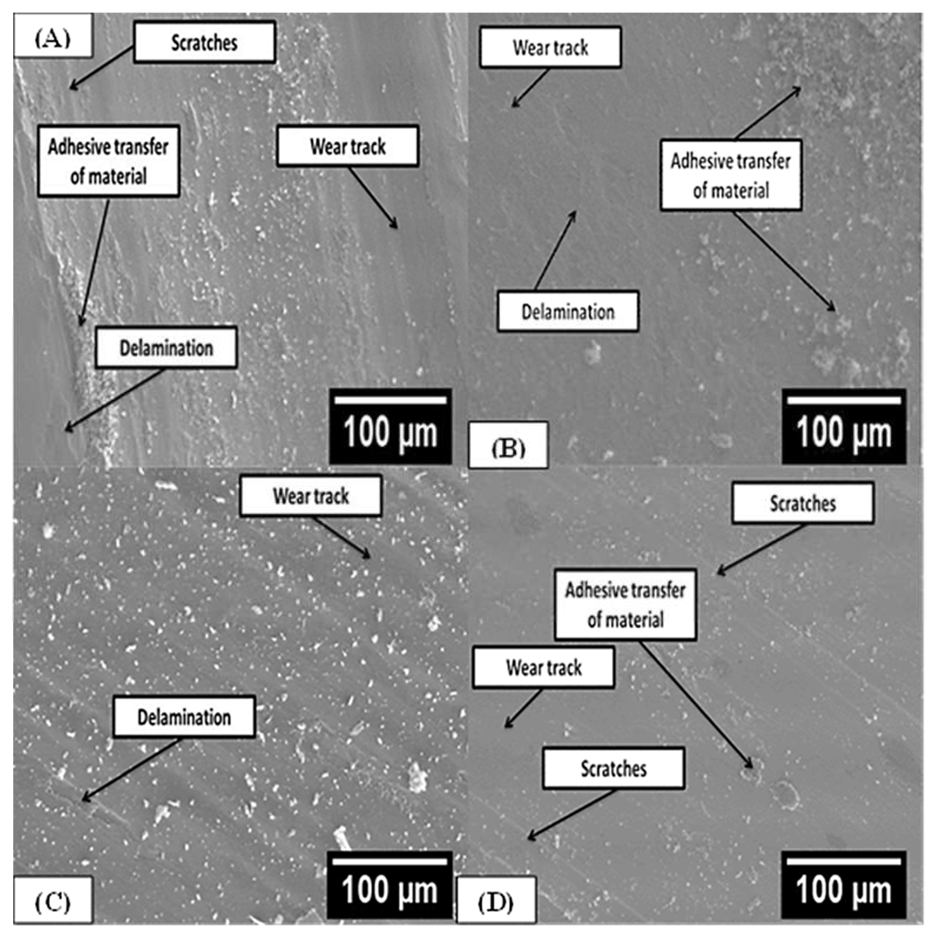 Metals 13 00382 g013