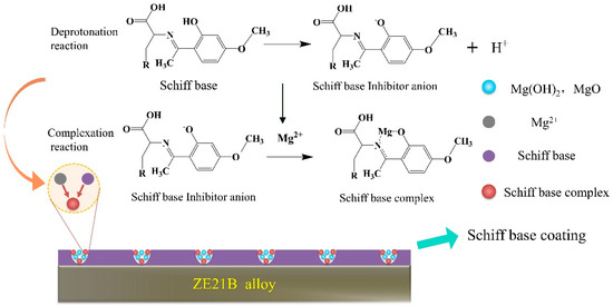 Advances in Schiff Base and Its Coating on Metal Biomaterials—A Review