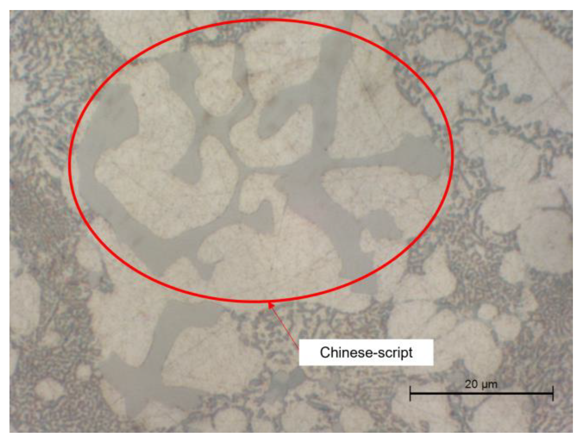 Metals 13 00389 g007 550