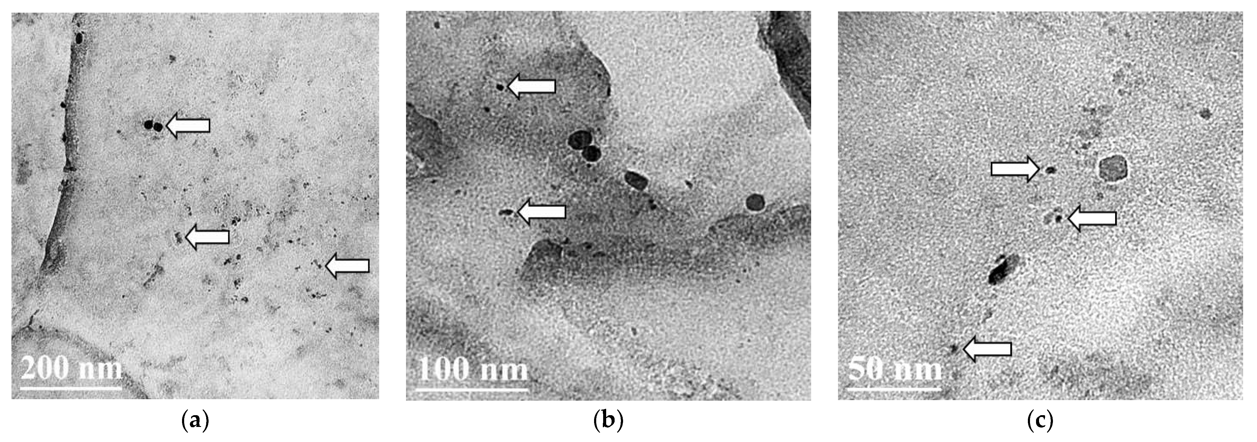 Metals 13 00405 g011a Metals 13 00405 g011a