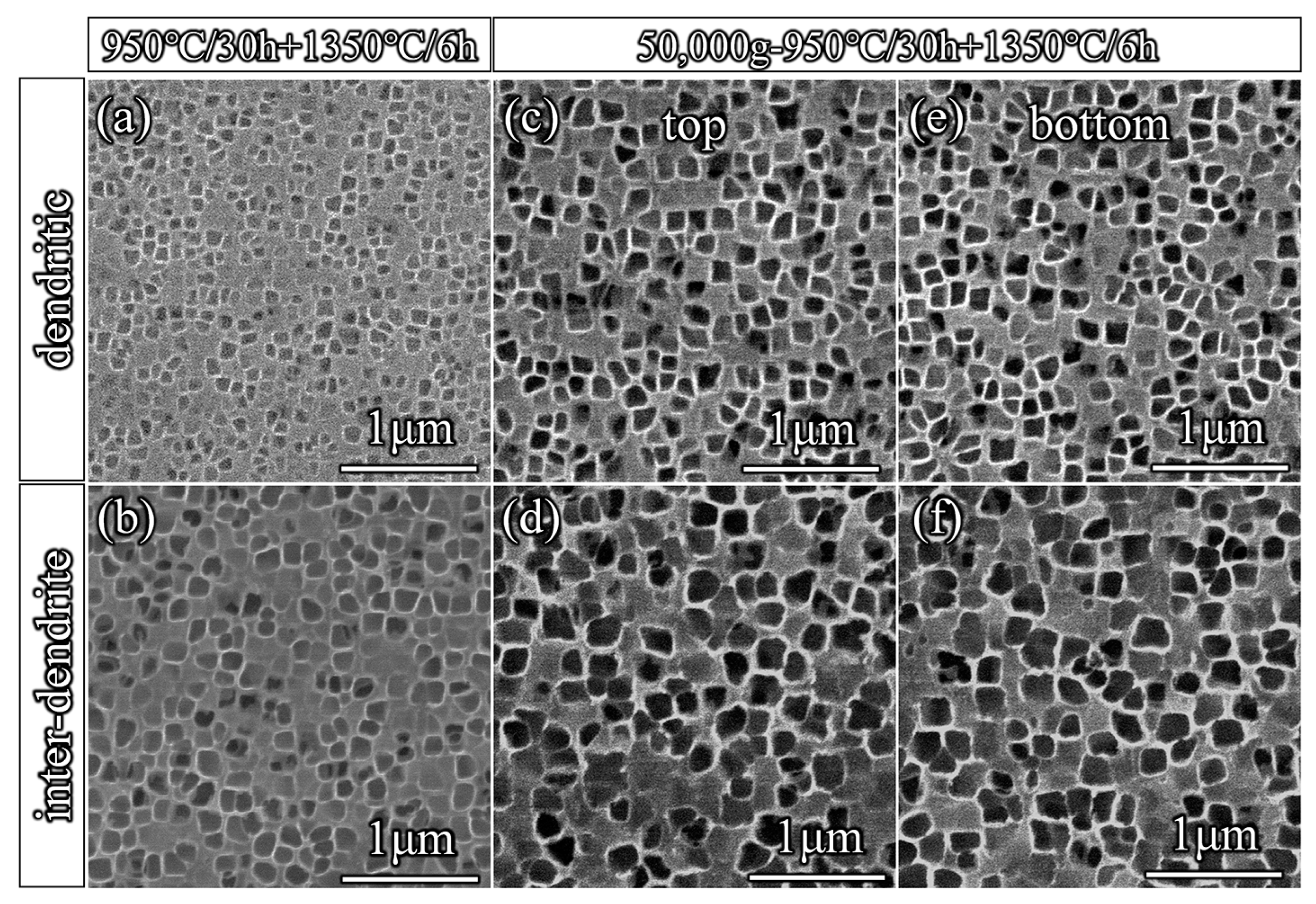 Metals 13 00416 g006